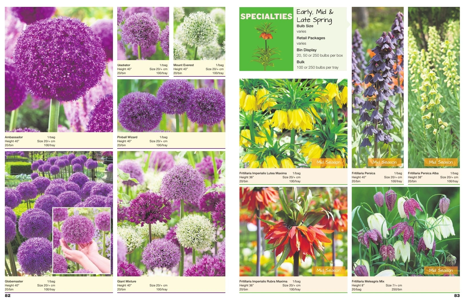 A.D.R. Bulbs flyer page 43