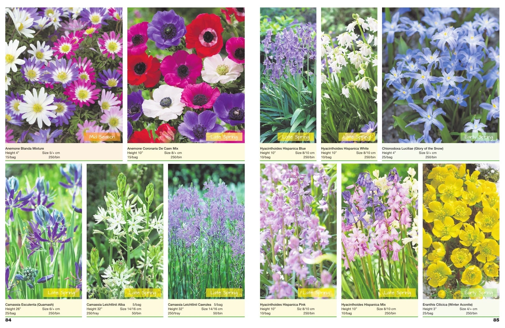 A.D.R. Bulbs flyer page 44
