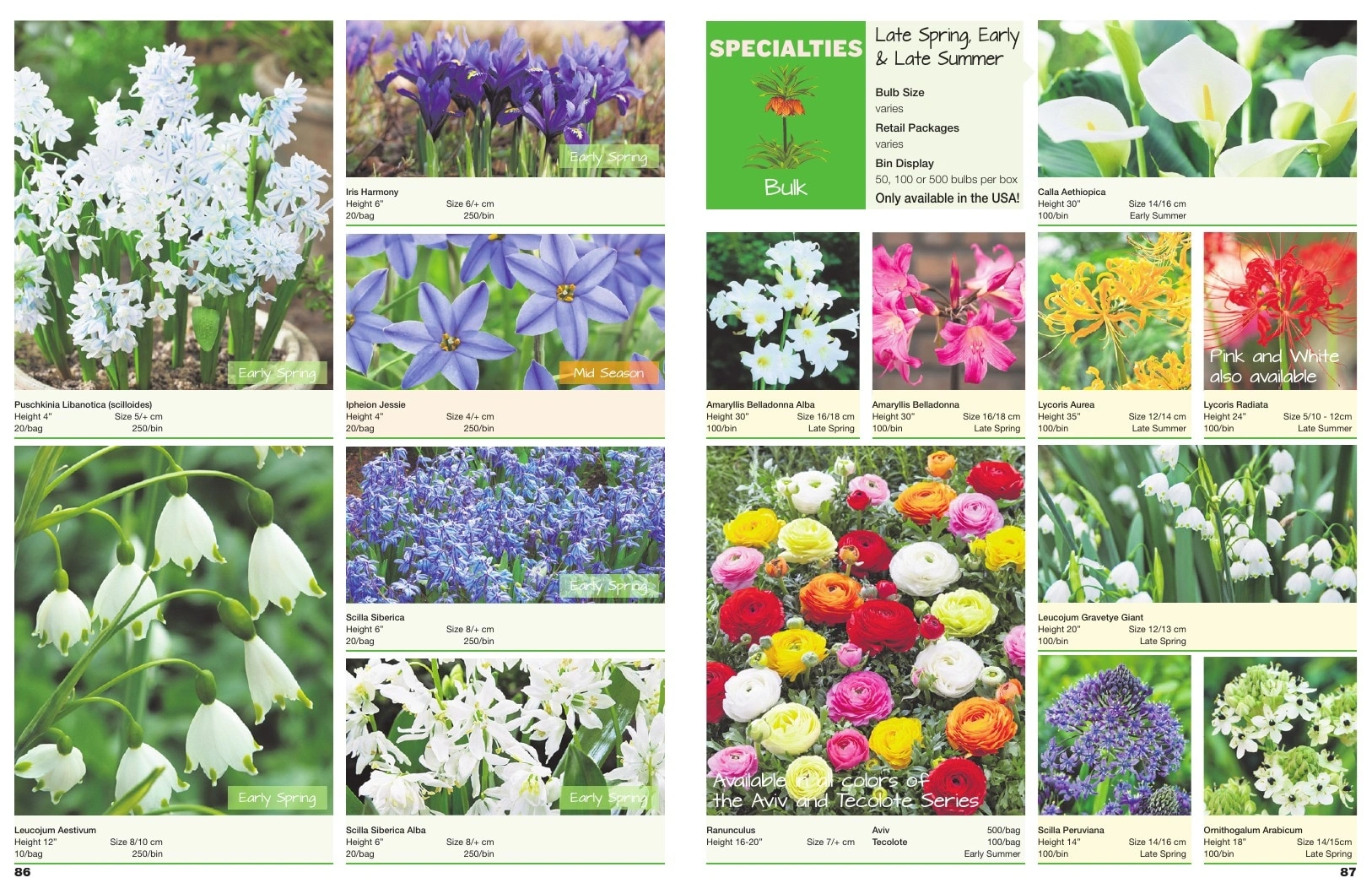 A.D.R. Bulbs flyer page 45