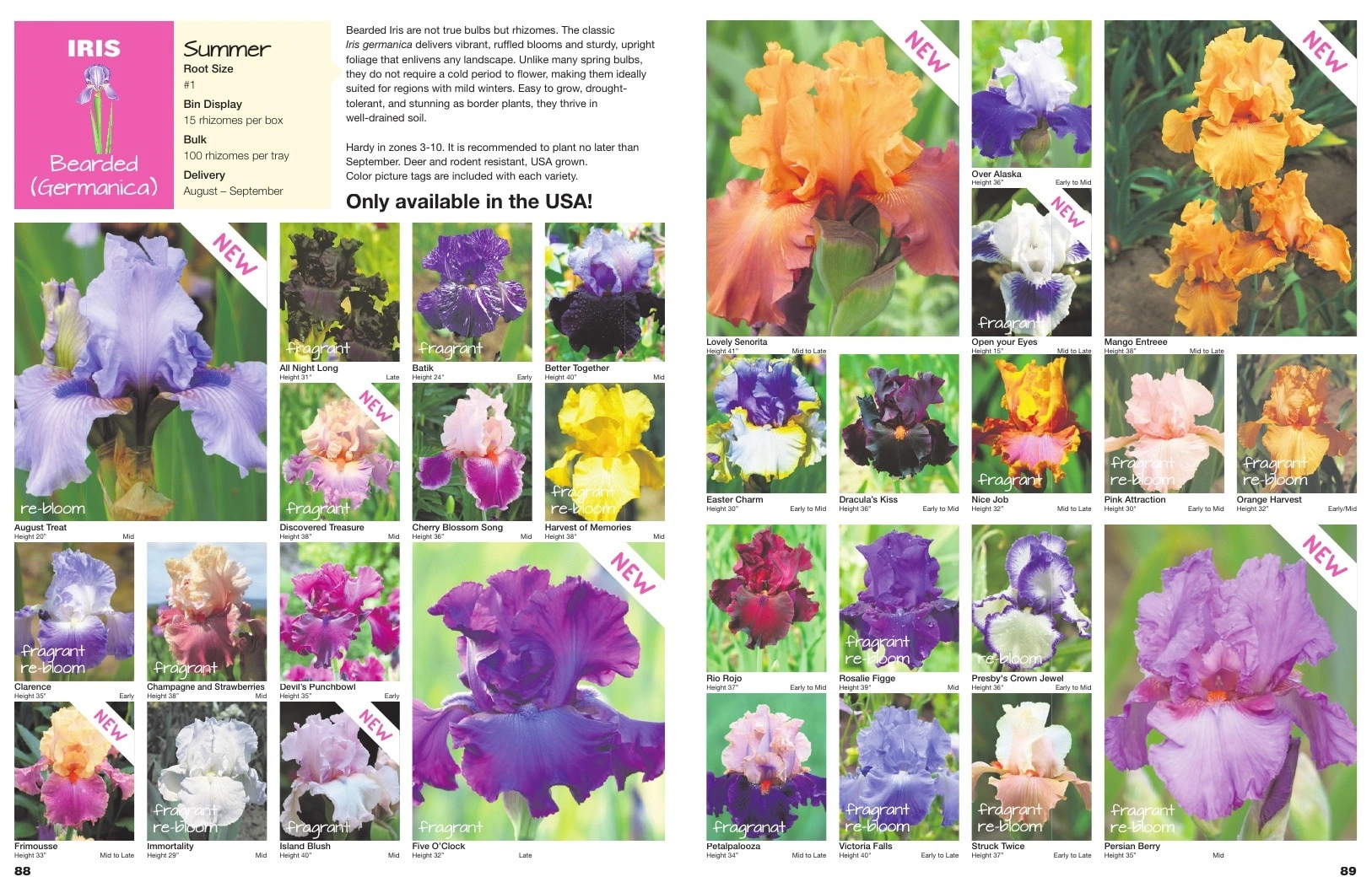 A.D.R. Bulbs flyer page 46
