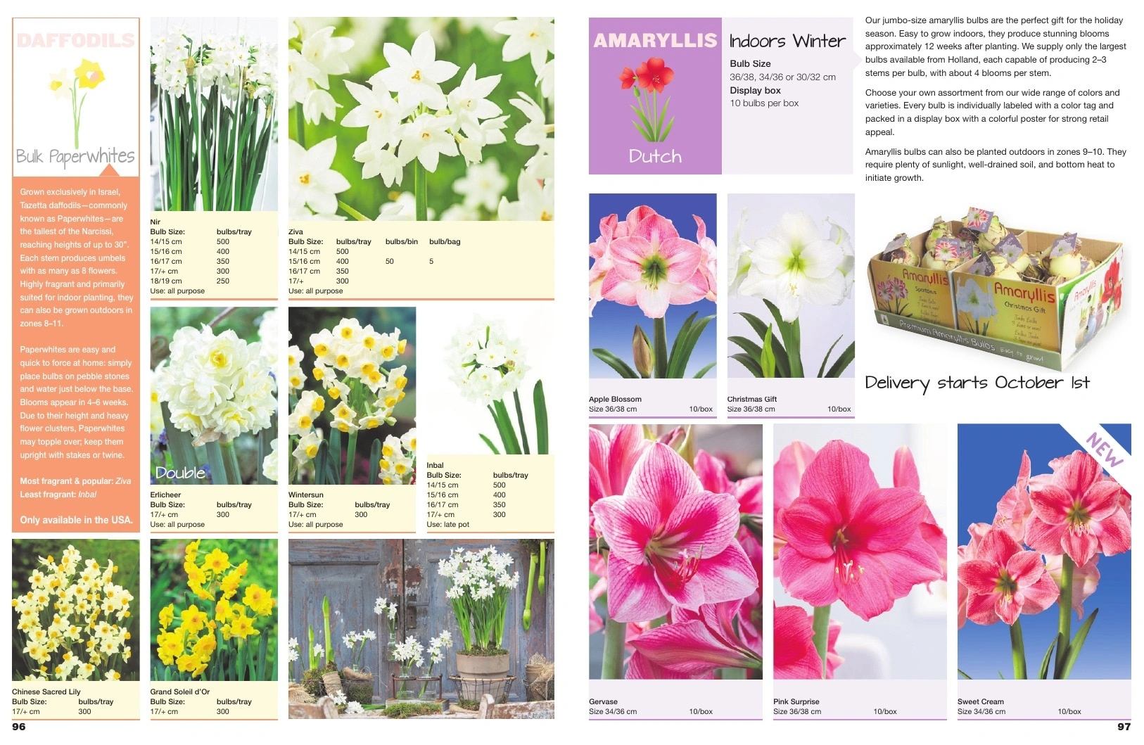 A.D.R. Bulbs flyer page 50