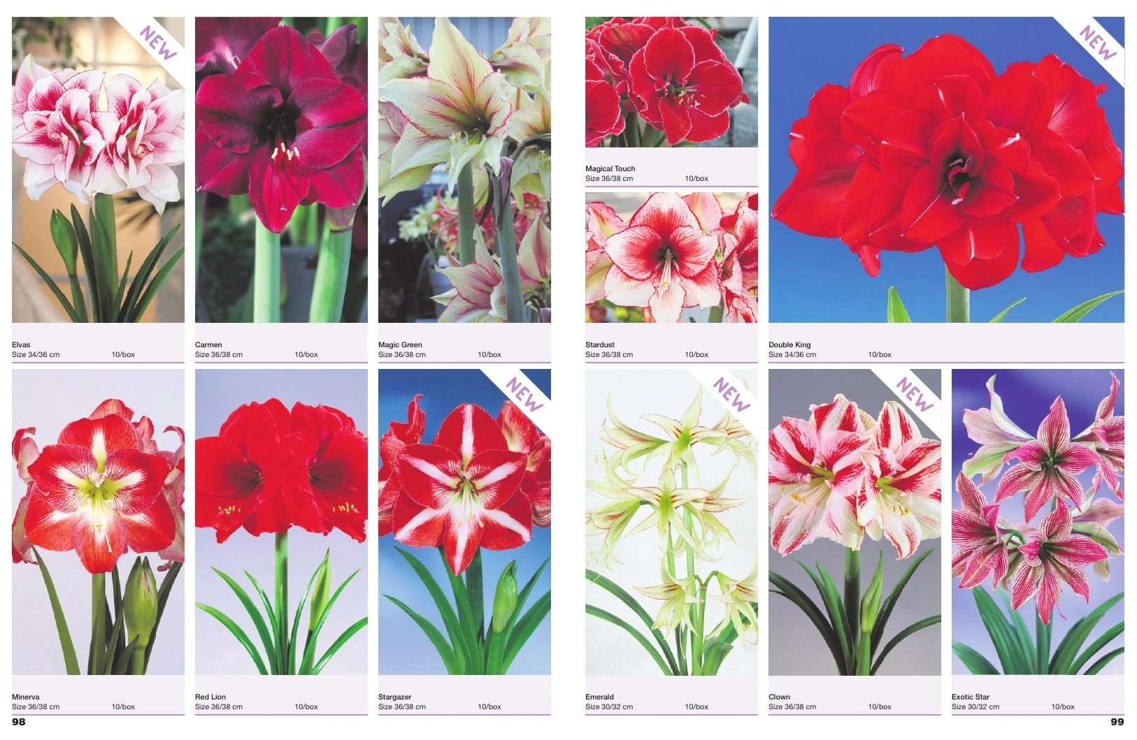 A.D.R. Bulbs flyer page 51