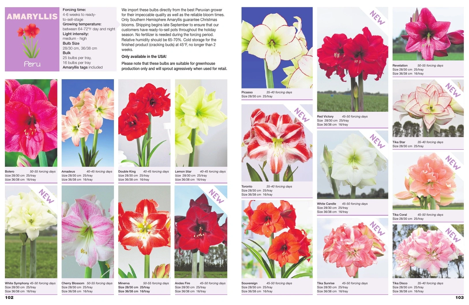 A.D.R. Bulbs flyer page 53