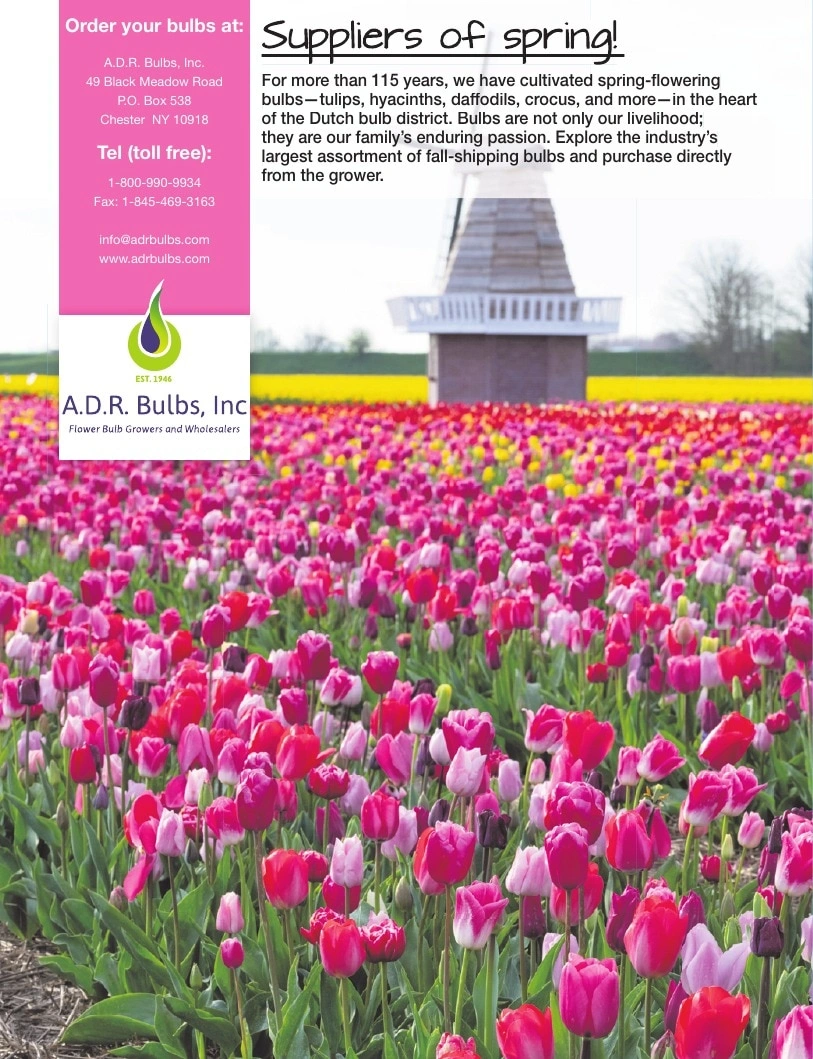 A.D.R. Bulbs flyer page 56