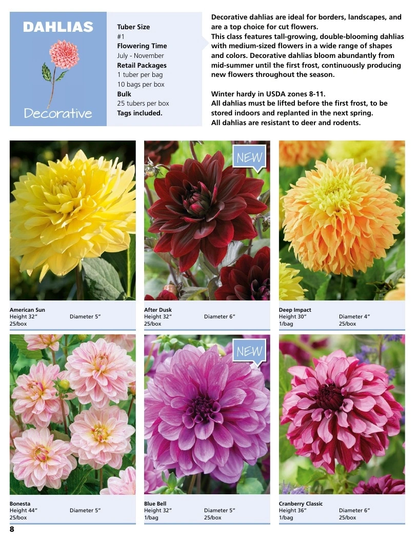 A.D.R. Bulbs flyer page 10