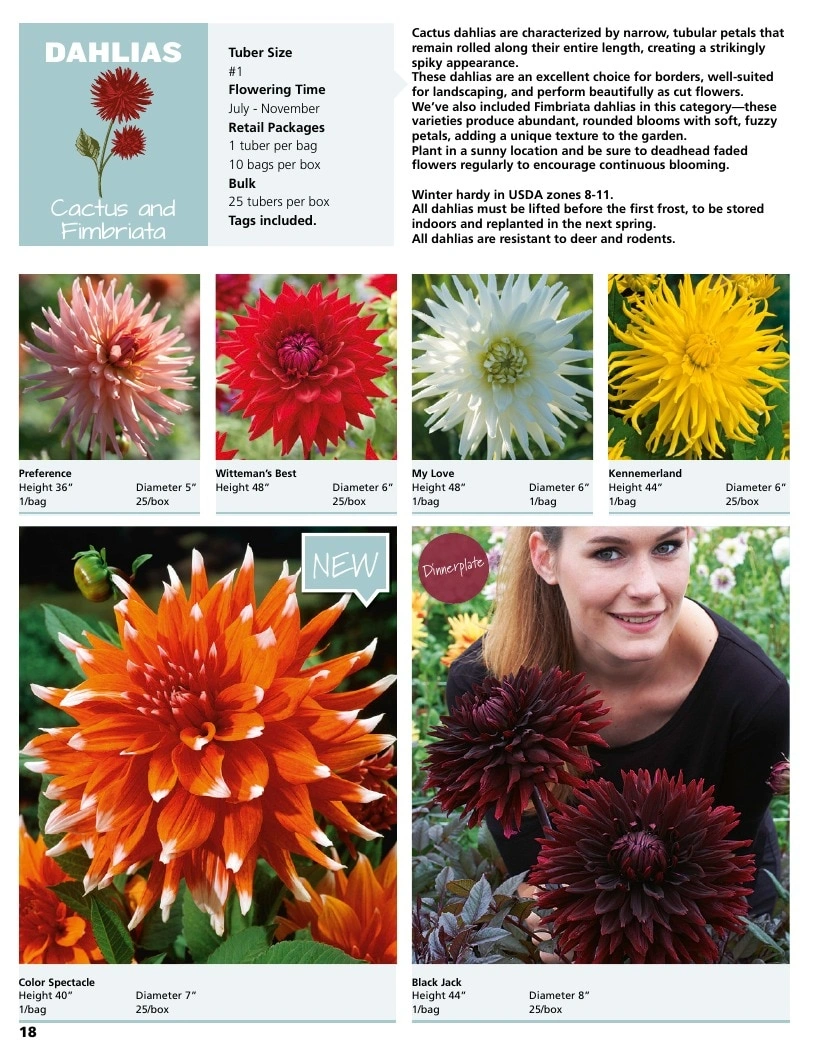 A.D.R. Bulbs flyer page 20