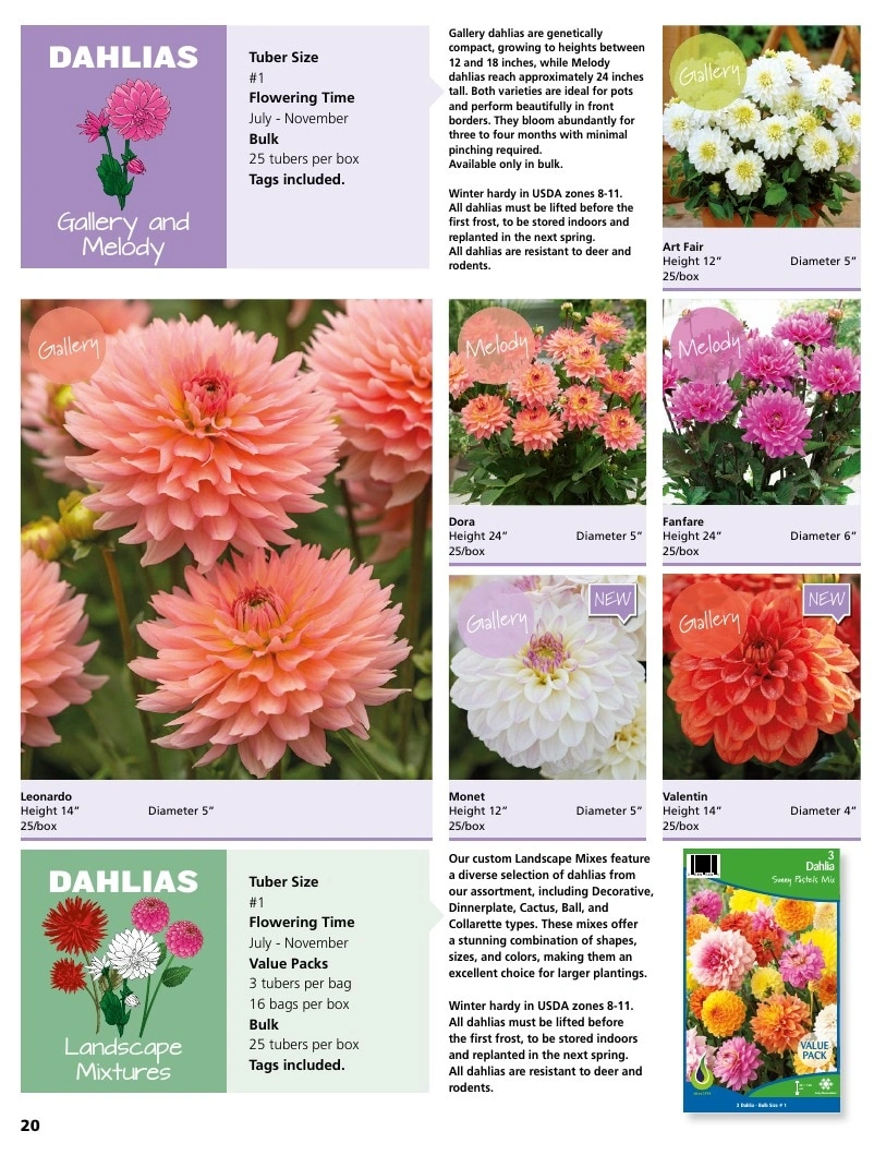 A.D.R. Bulbs flyer page 22