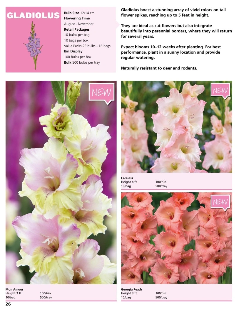 A.D.R. Bulbs flyer page 28