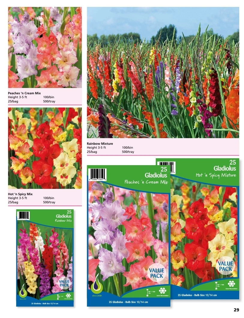 A.D.R. Bulbs flyer page 31