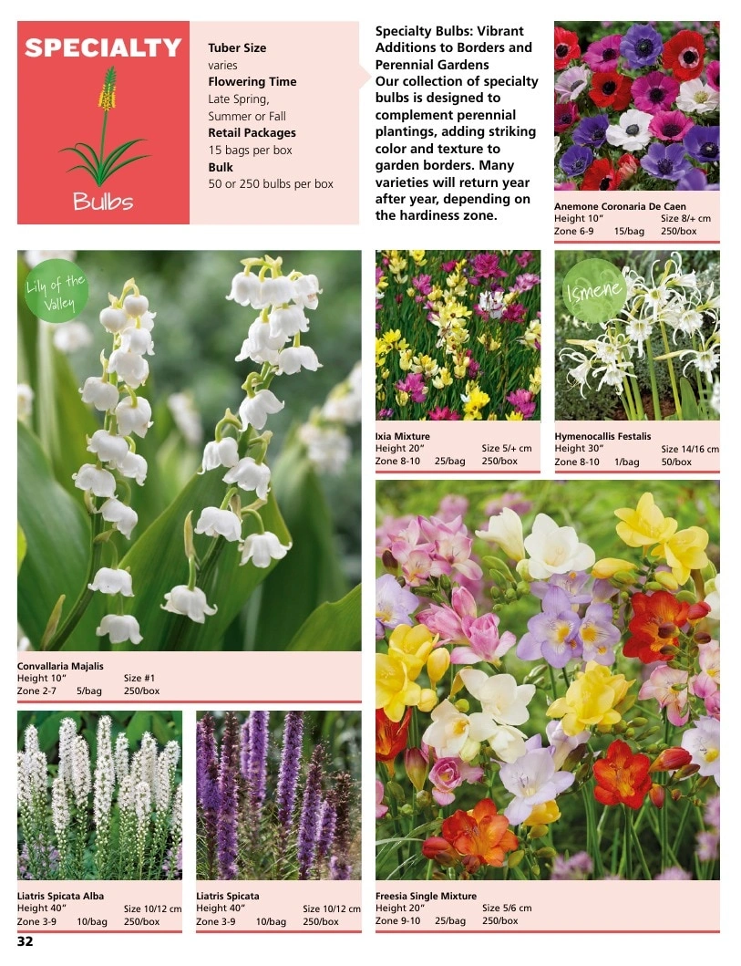 A.D.R. Bulbs flyer page 34