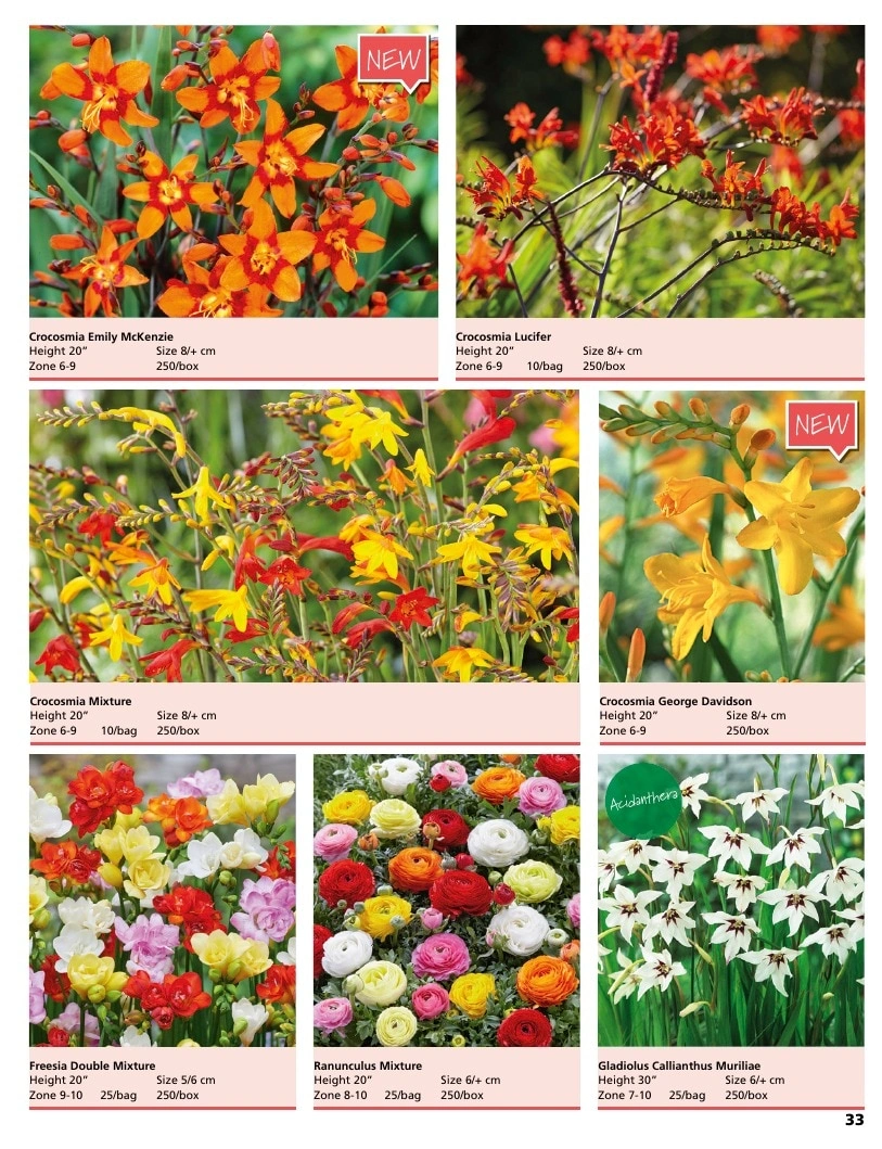 A.D.R. Bulbs flyer page 35
