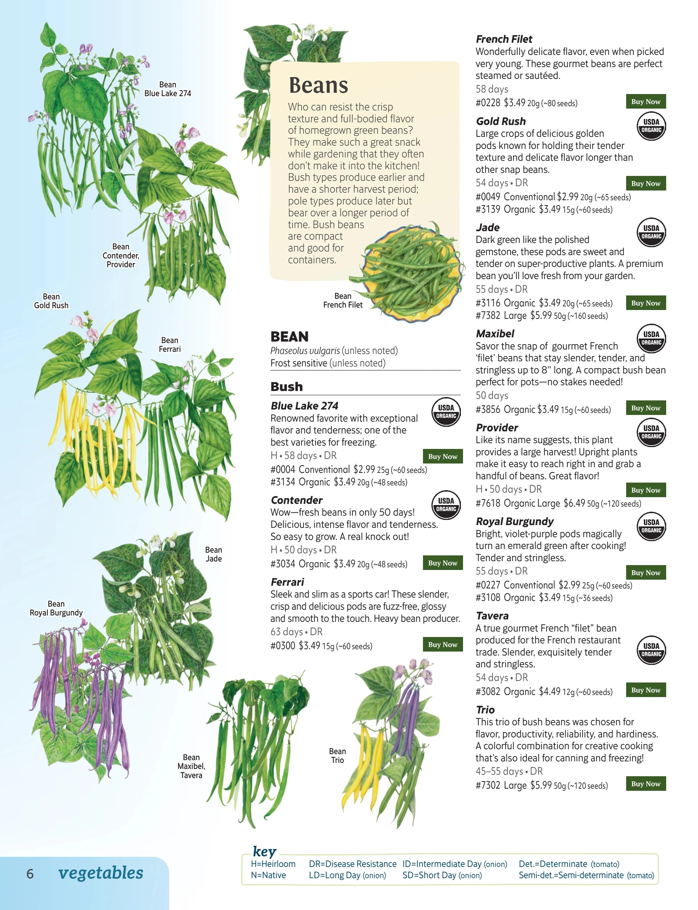 Botanical Interests flyer page 6