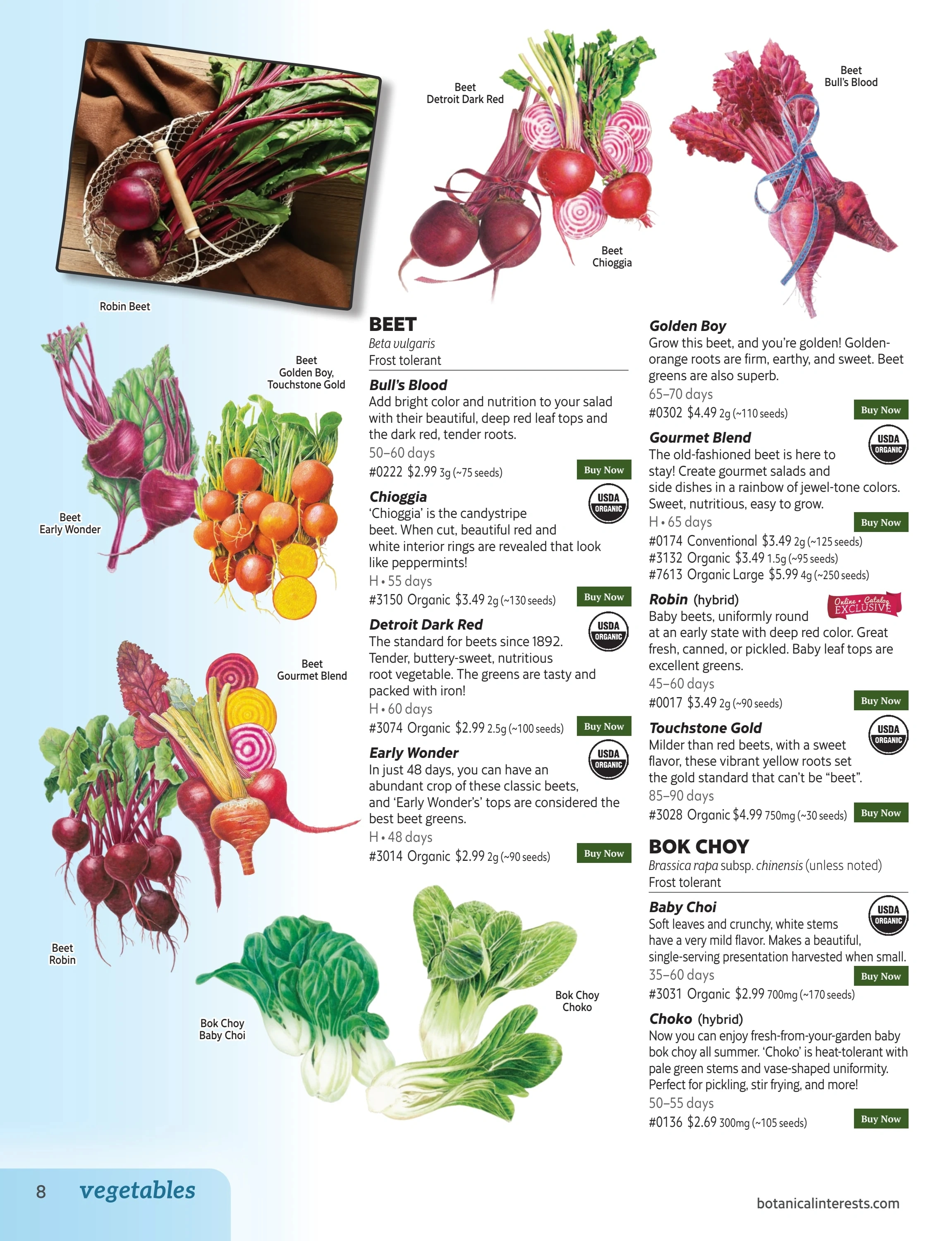 Botanical Interests flyer page 8