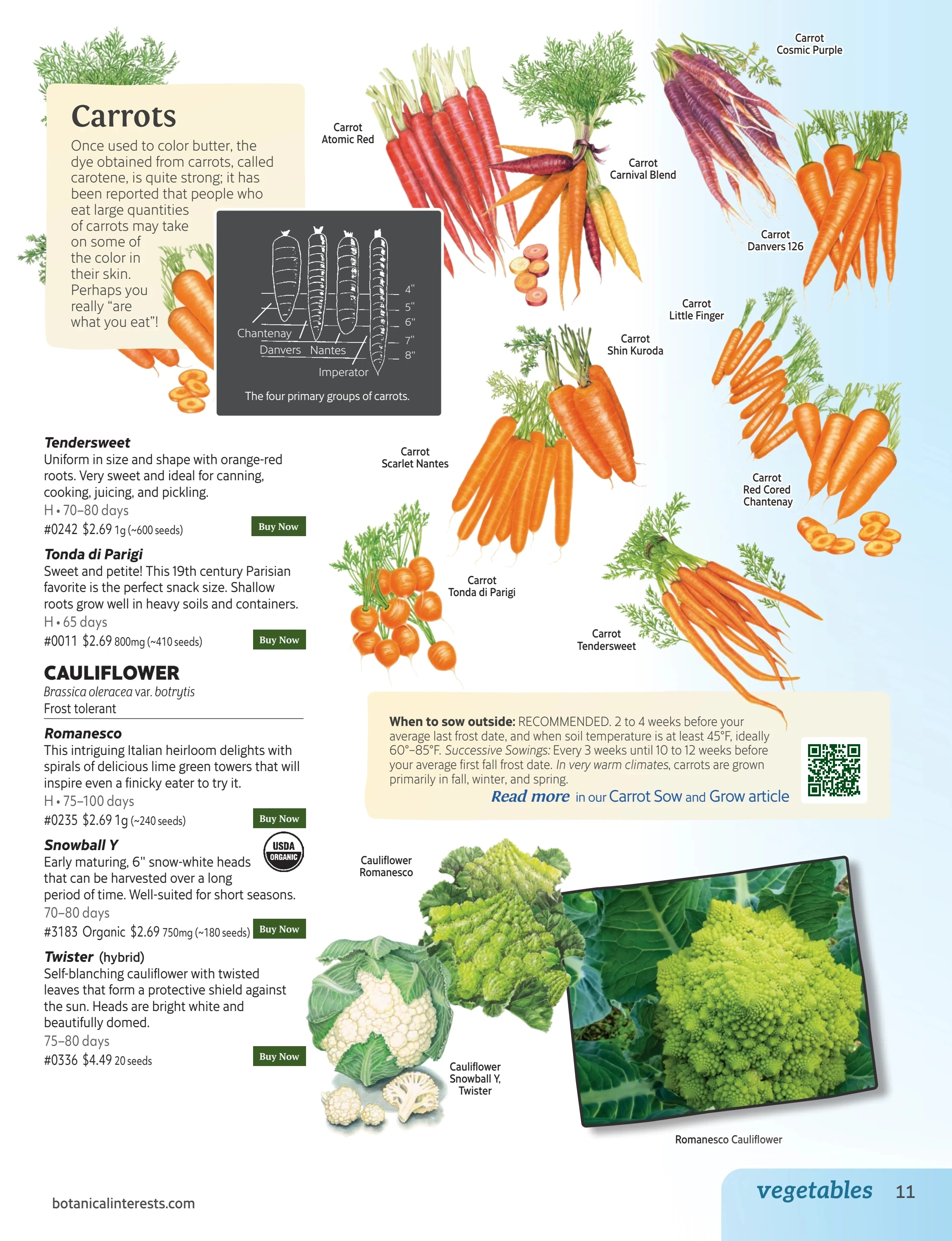 Botanical Interests flyer page 11