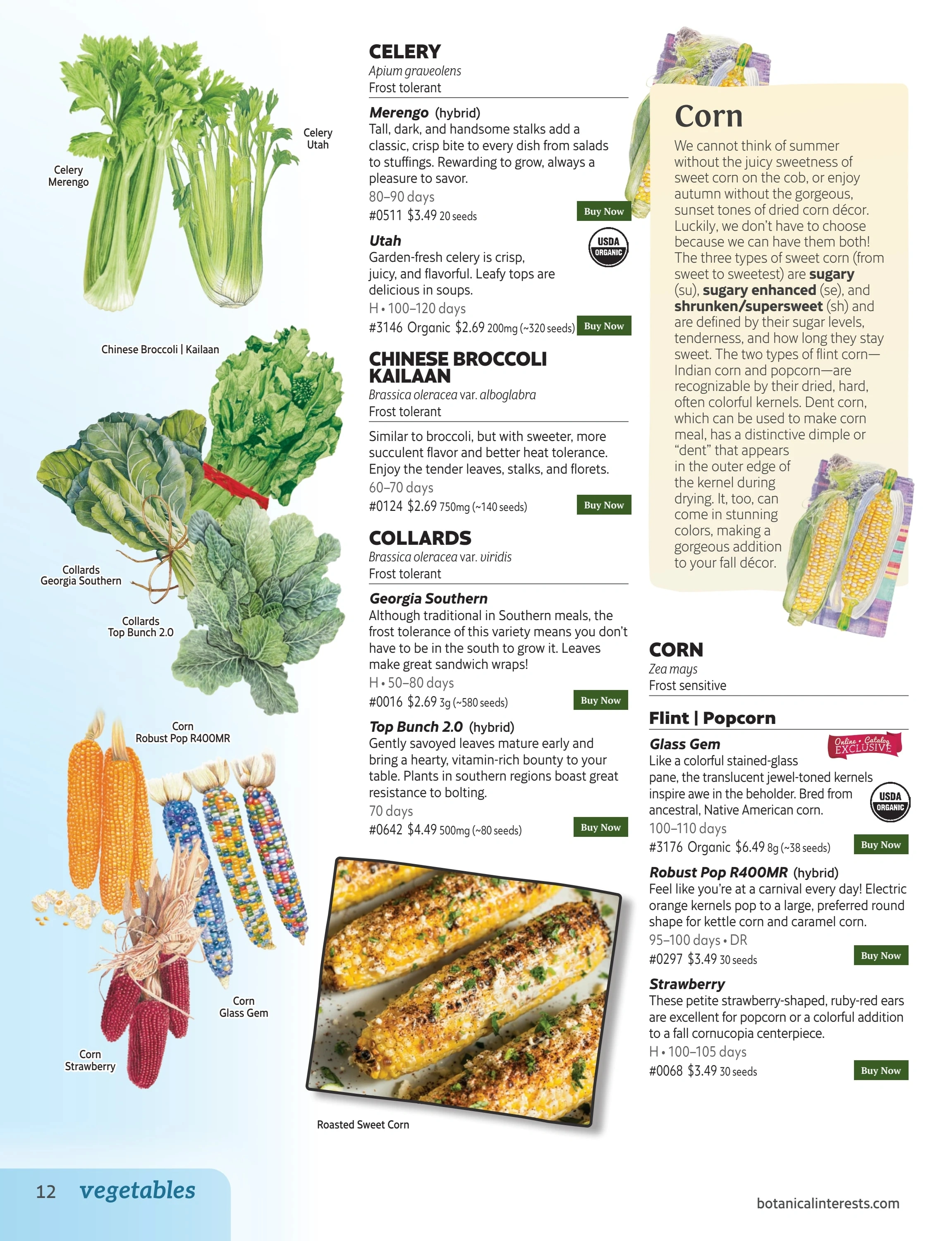 Botanical Interests flyer page 12