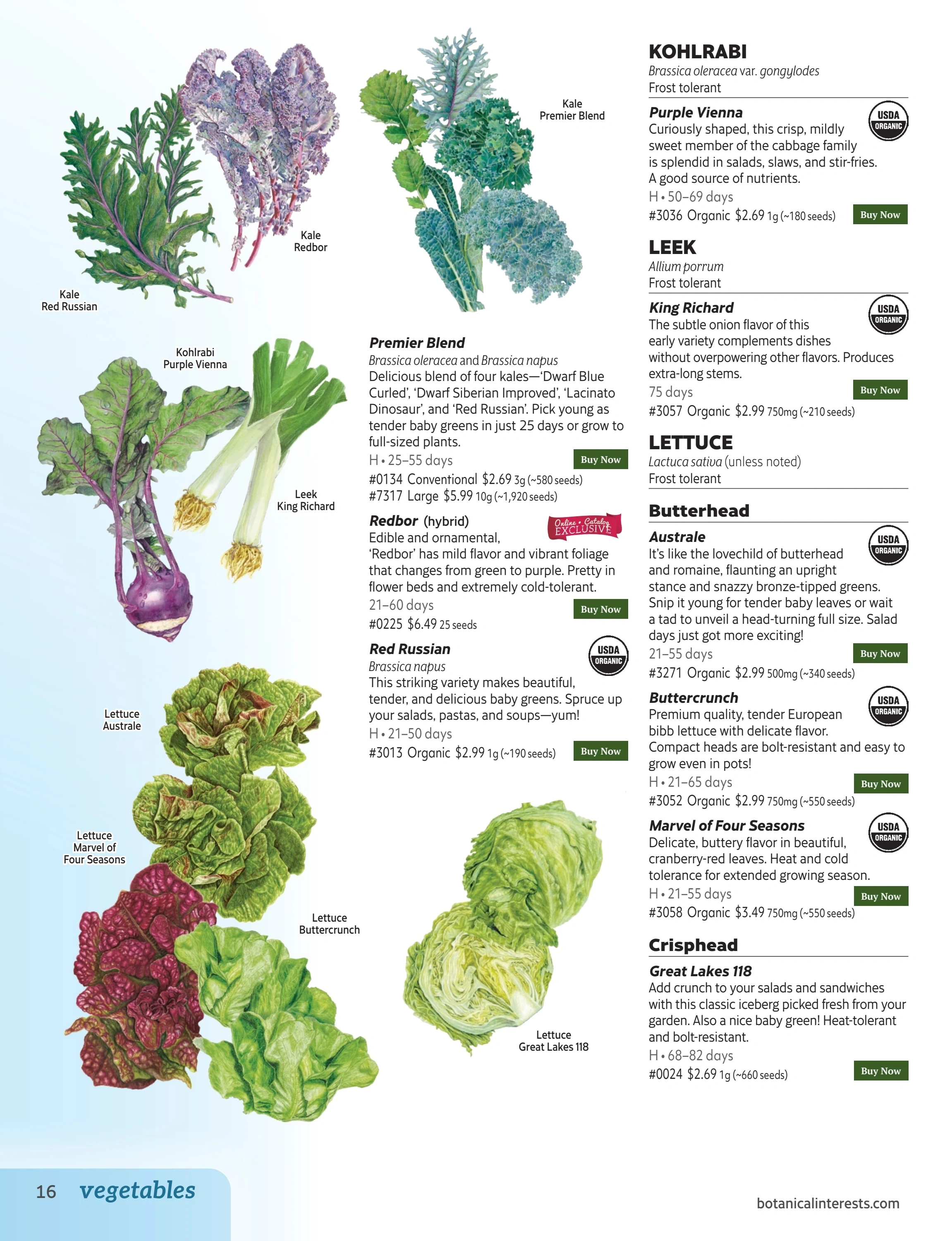 Botanical Interests flyer page 16
