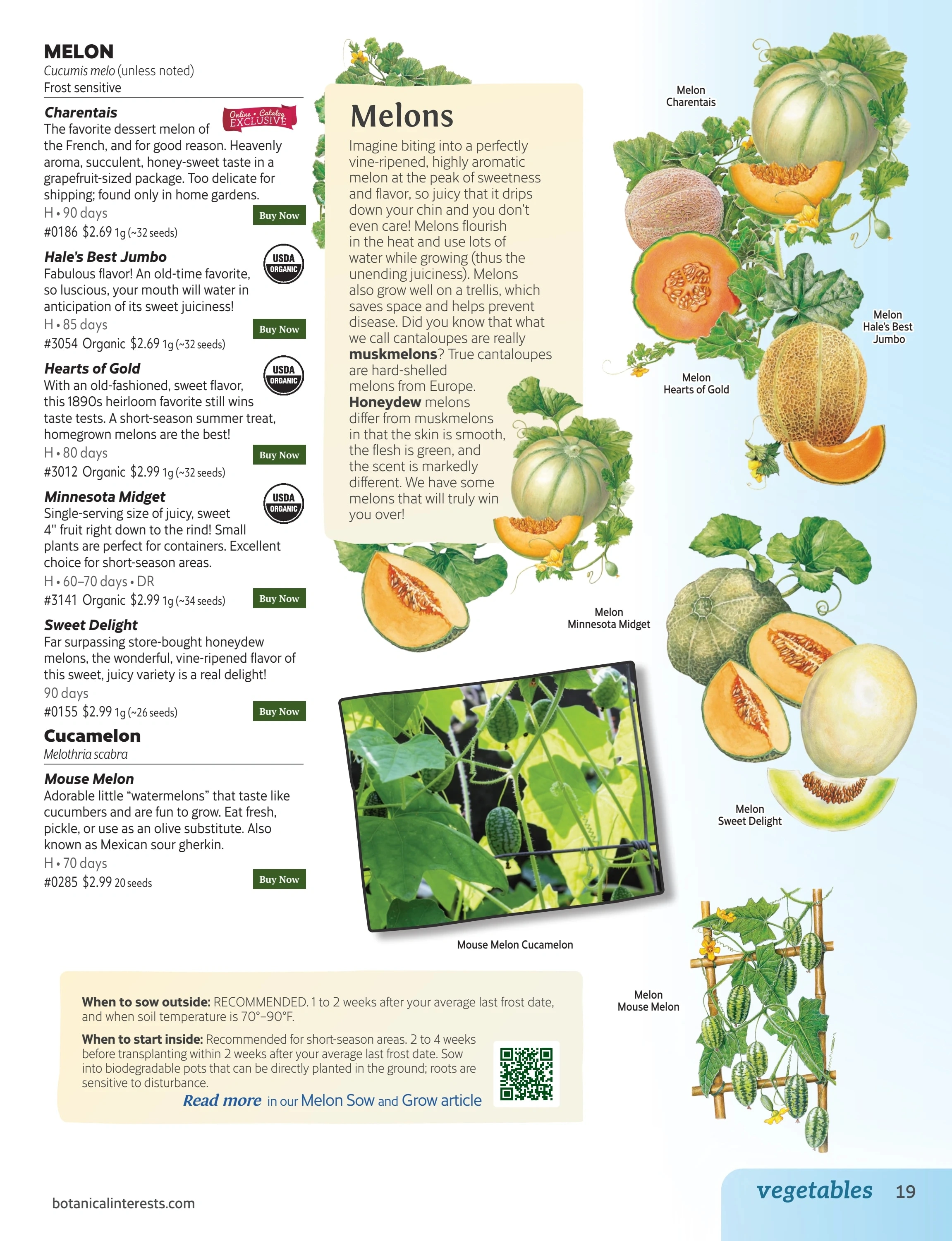 Botanical Interests flyer page 19