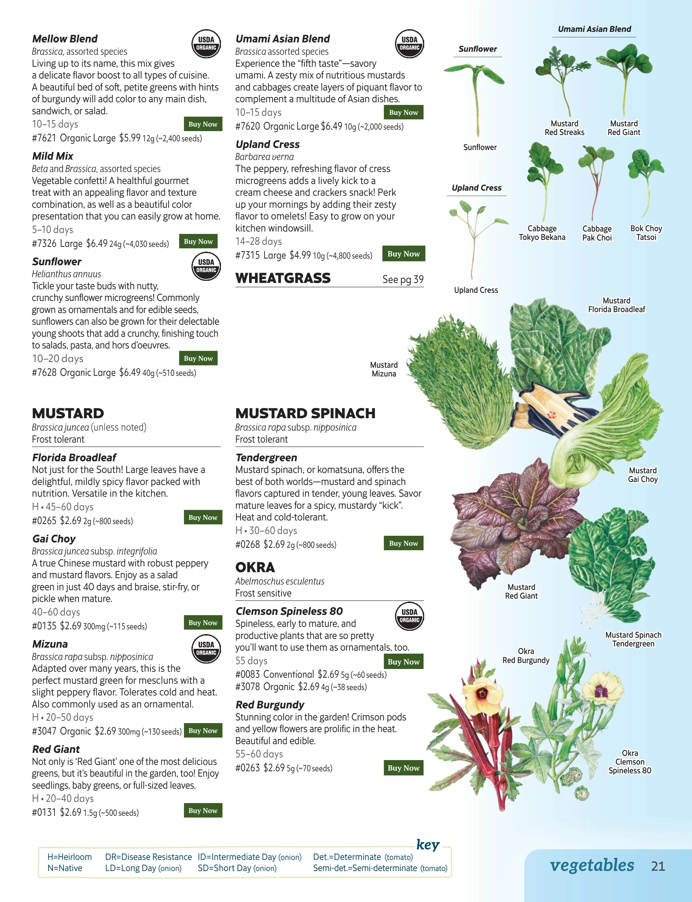 Botanical Interests flyer page 21
