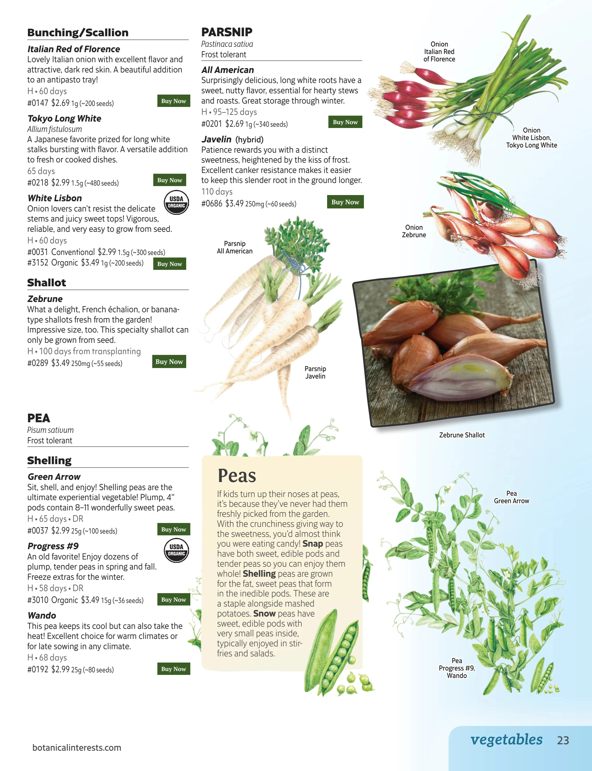 Botanical Interests flyer page 23