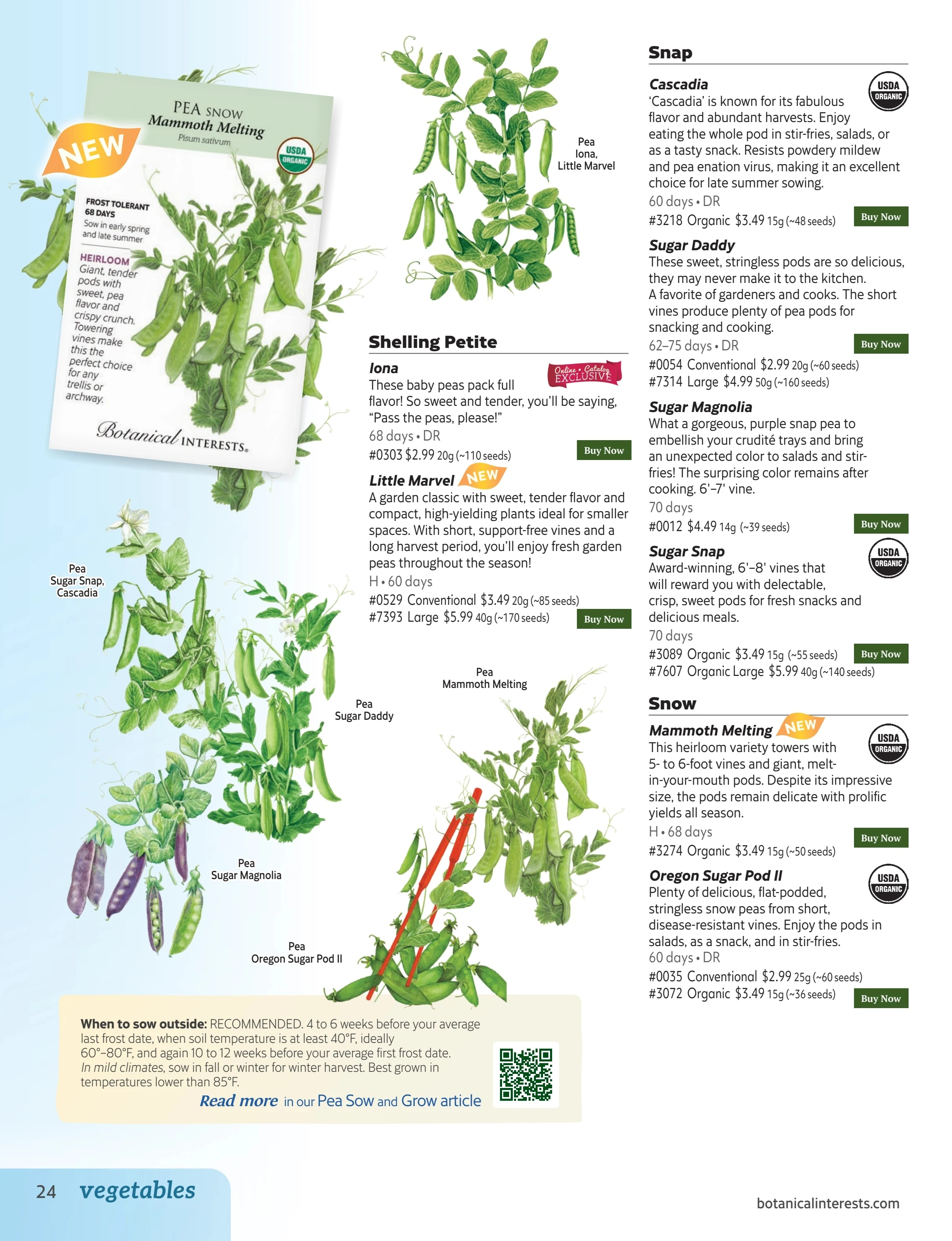Botanical Interests flyer page 24