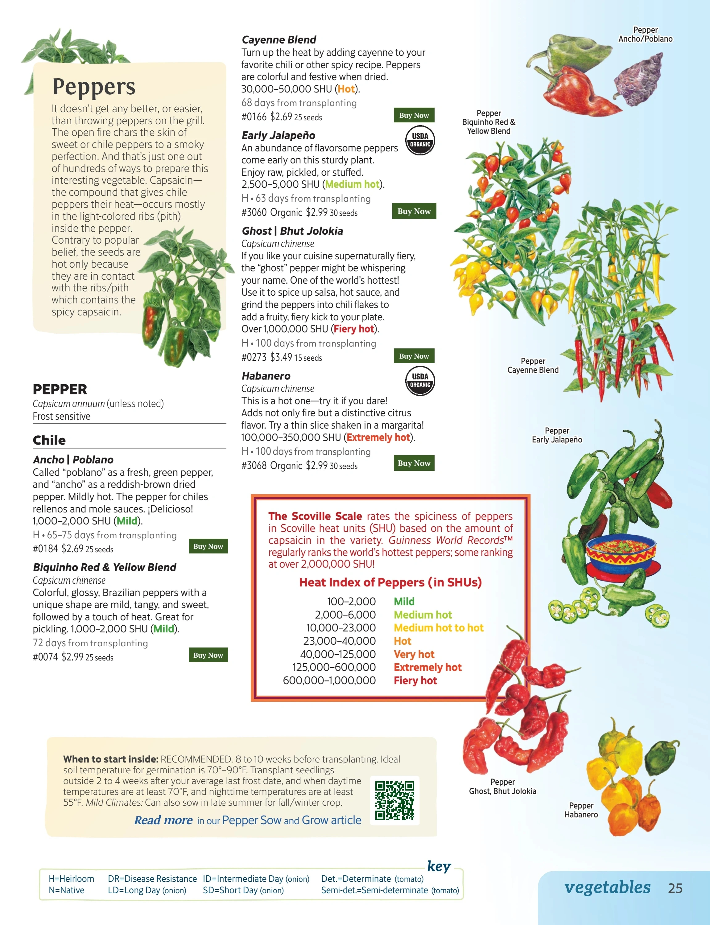 Botanical Interests flyer page 25