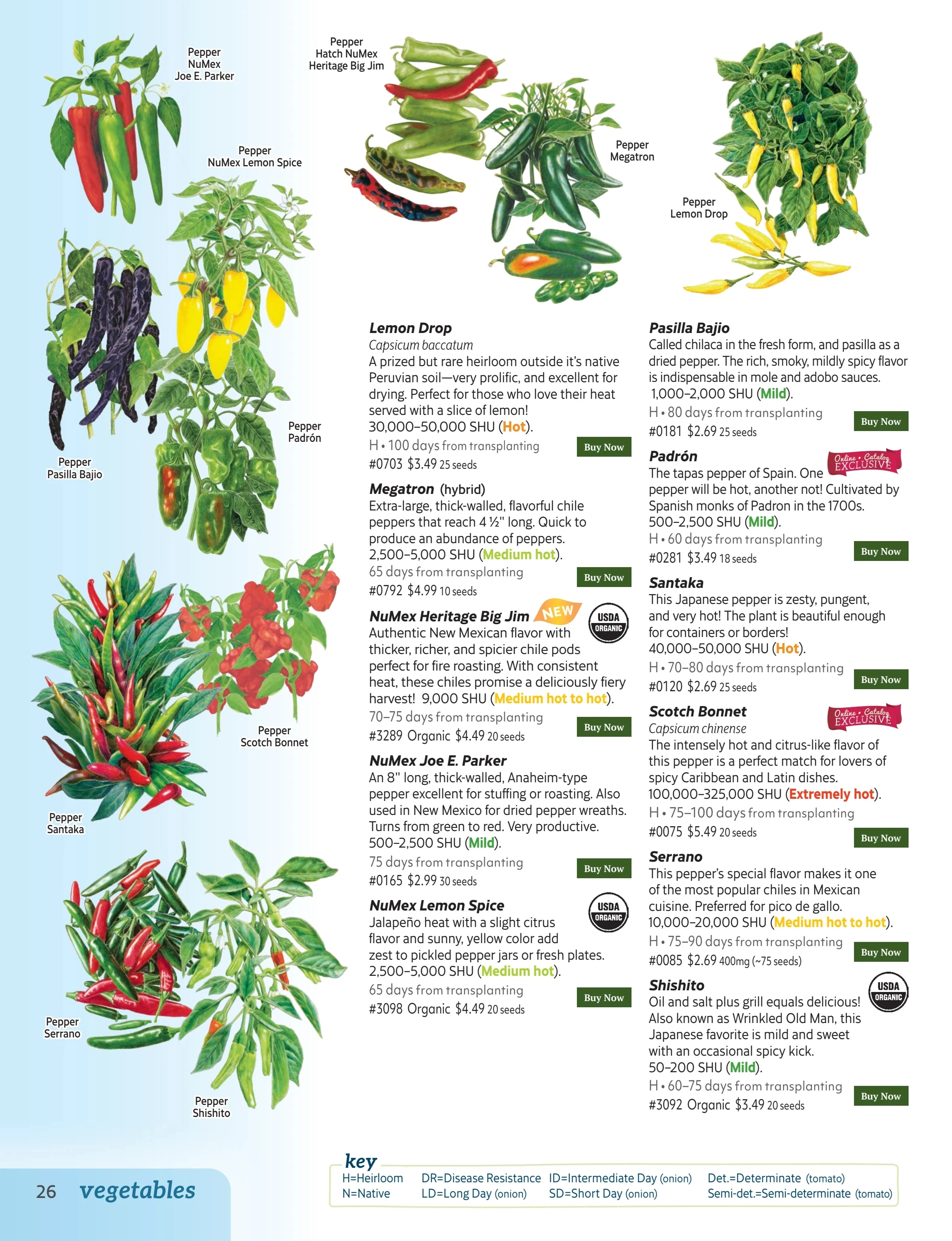 Botanical Interests flyer page 26