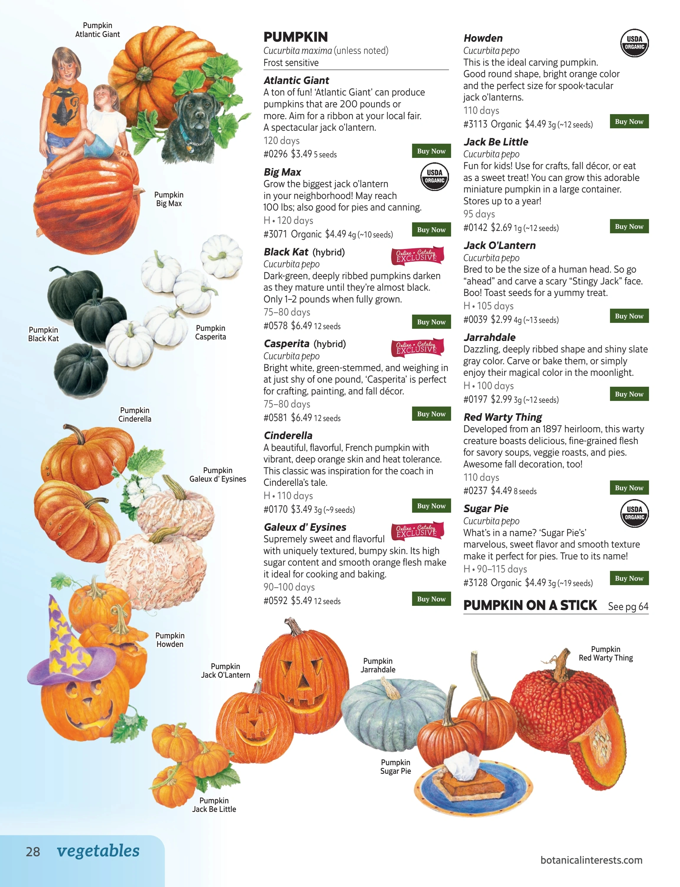 Botanical Interests flyer page 28
