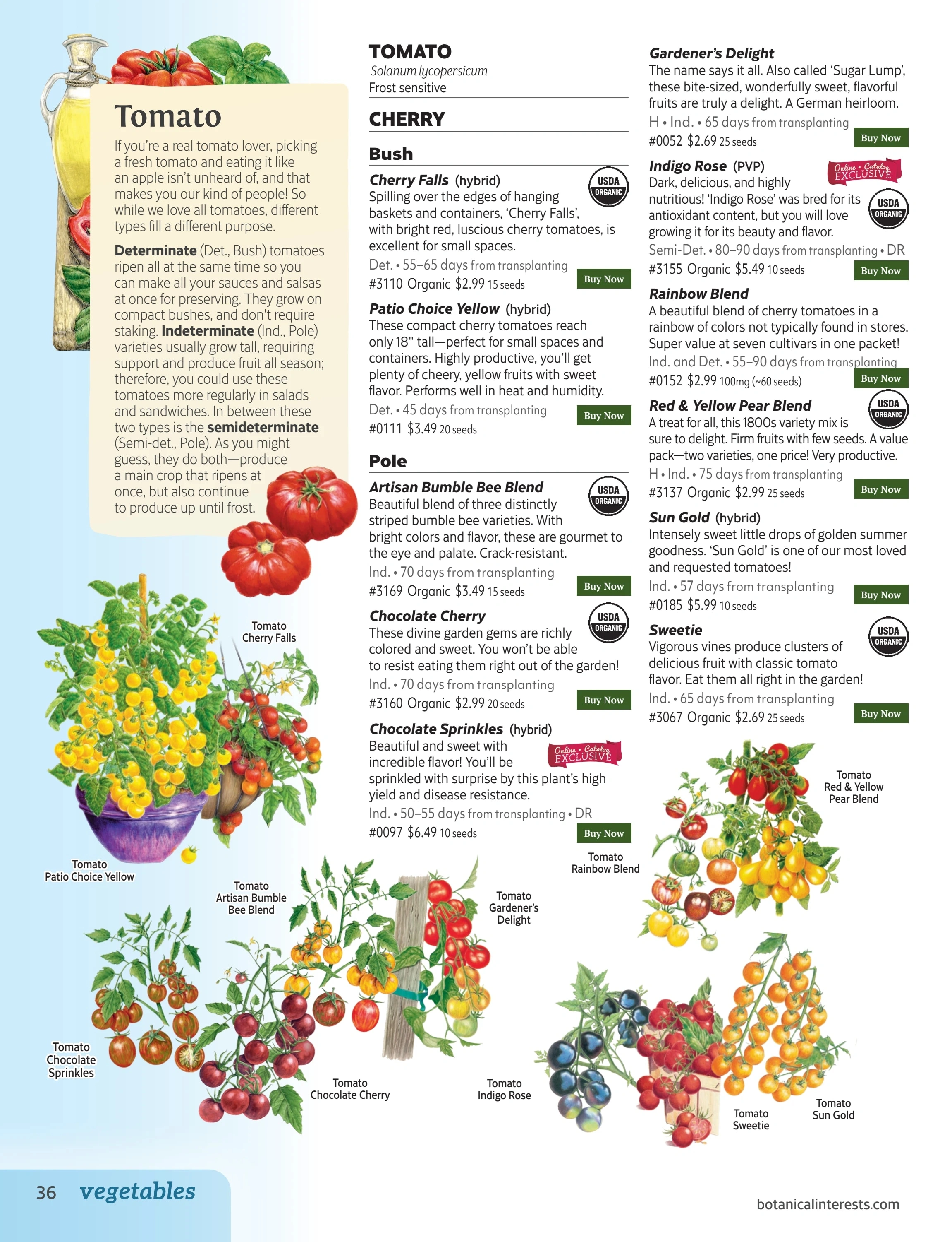 Botanical Interests flyer page 36