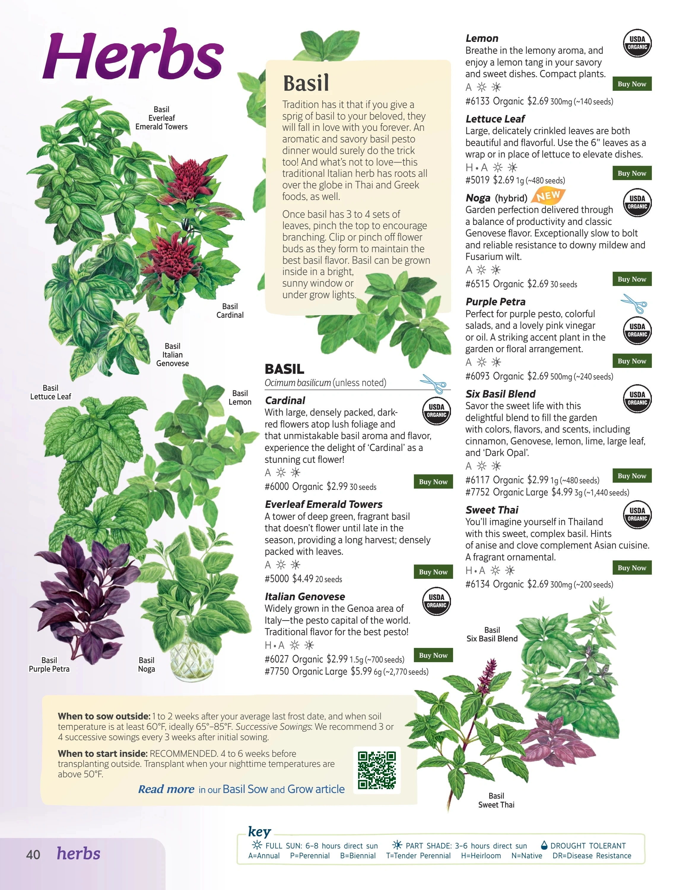 Botanical Interests flyer page 40