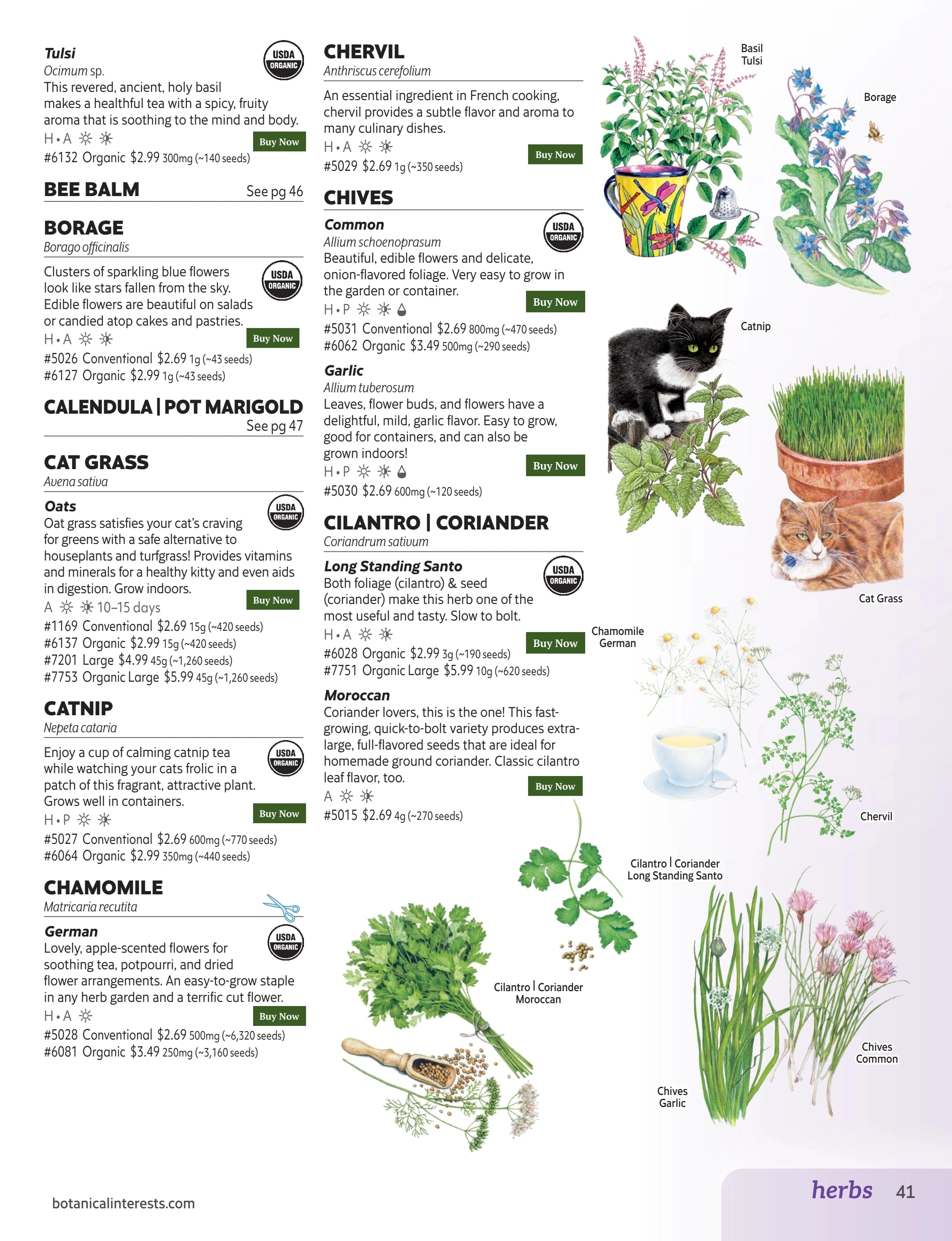 Botanical Interests flyer page 41