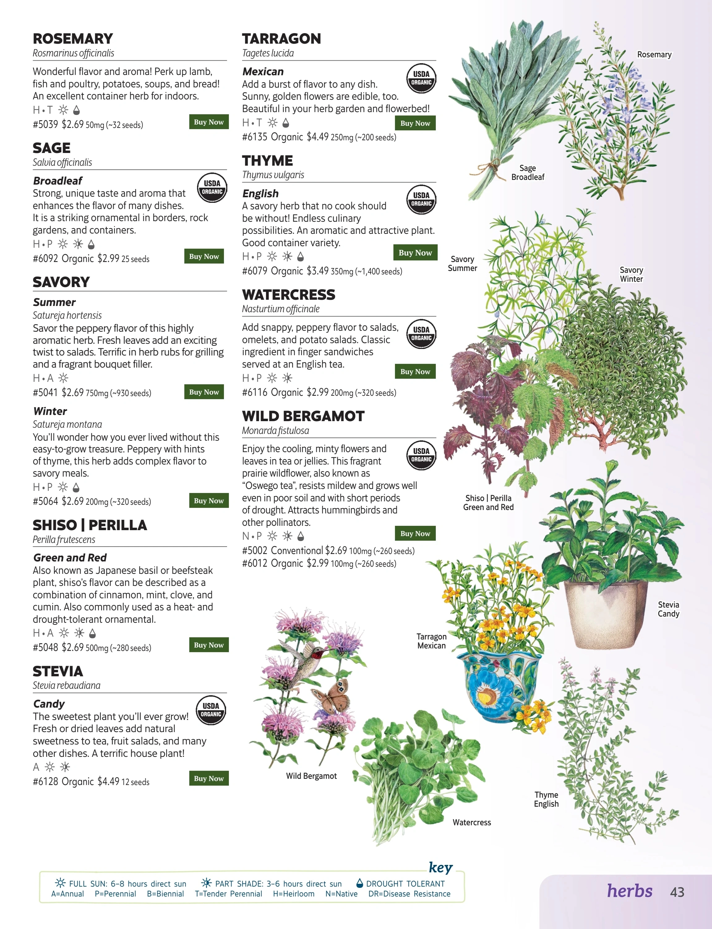 Botanical Interests flyer page 43