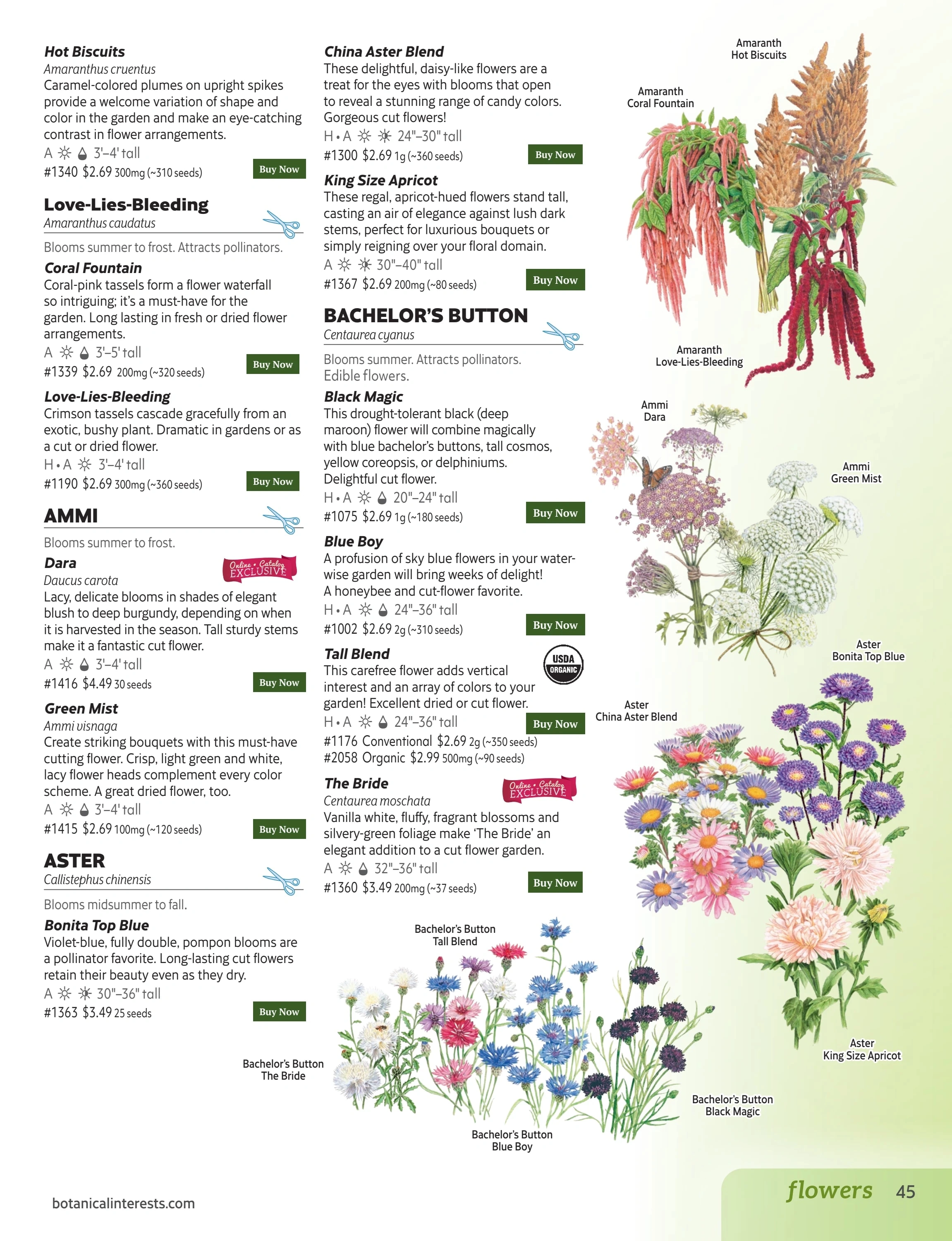 Botanical Interests flyer page 45