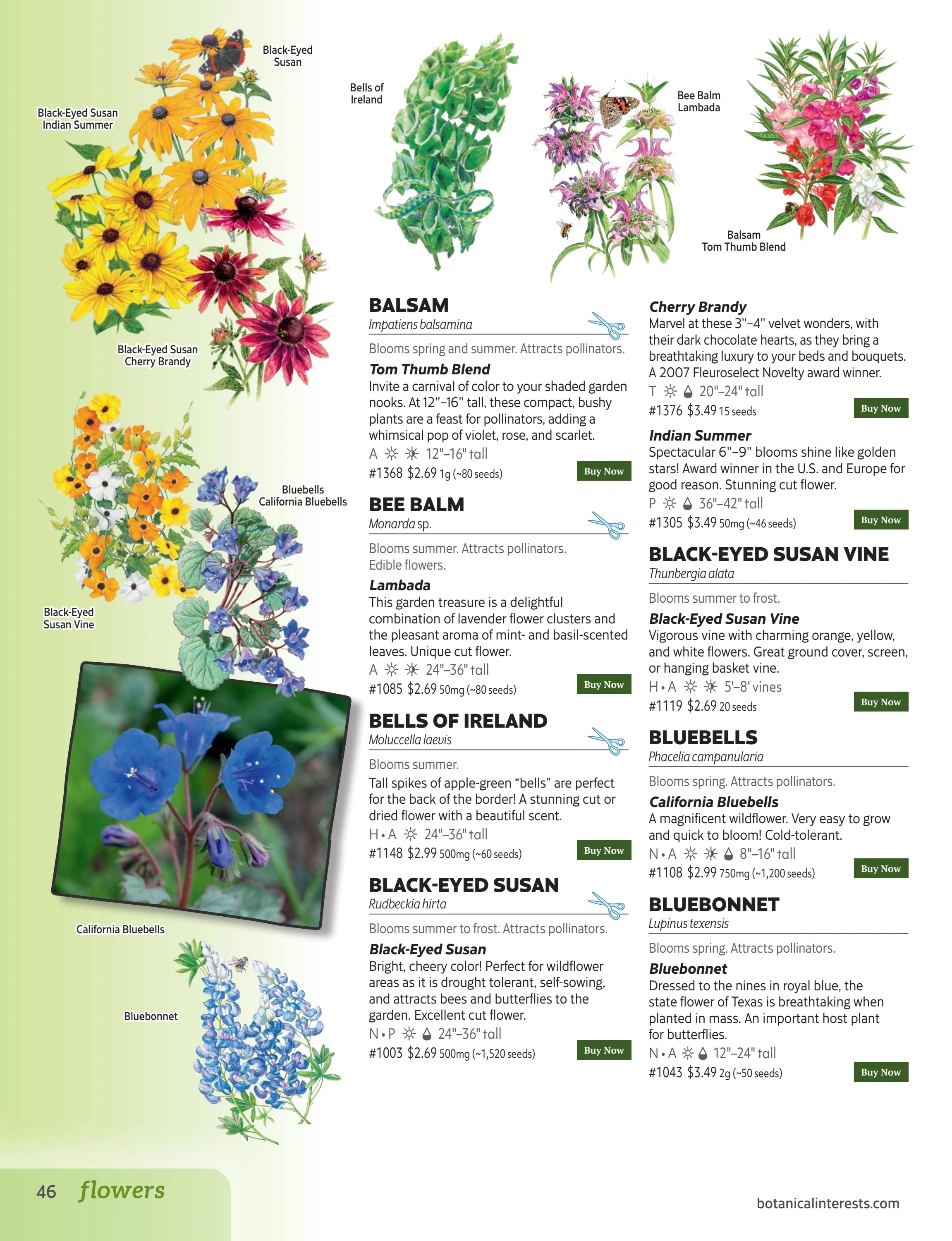 Botanical Interests flyer page 46