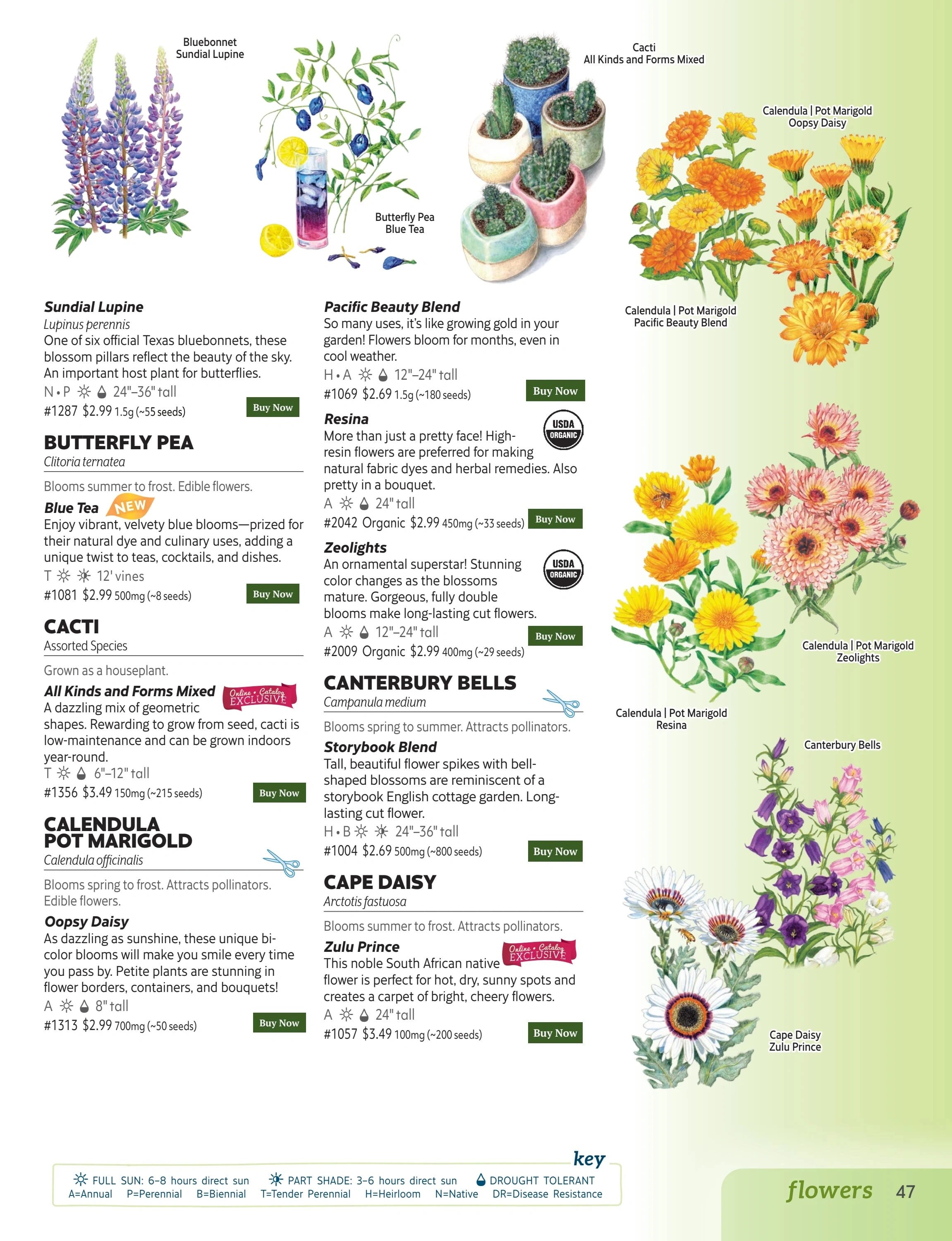 Botanical Interests flyer page 47