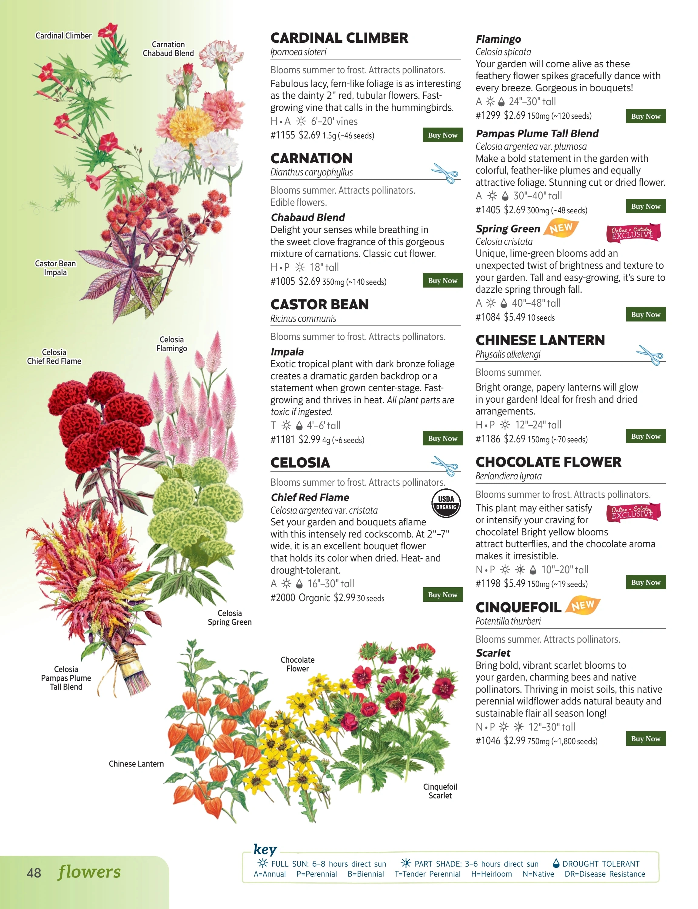 Botanical Interests flyer page 48