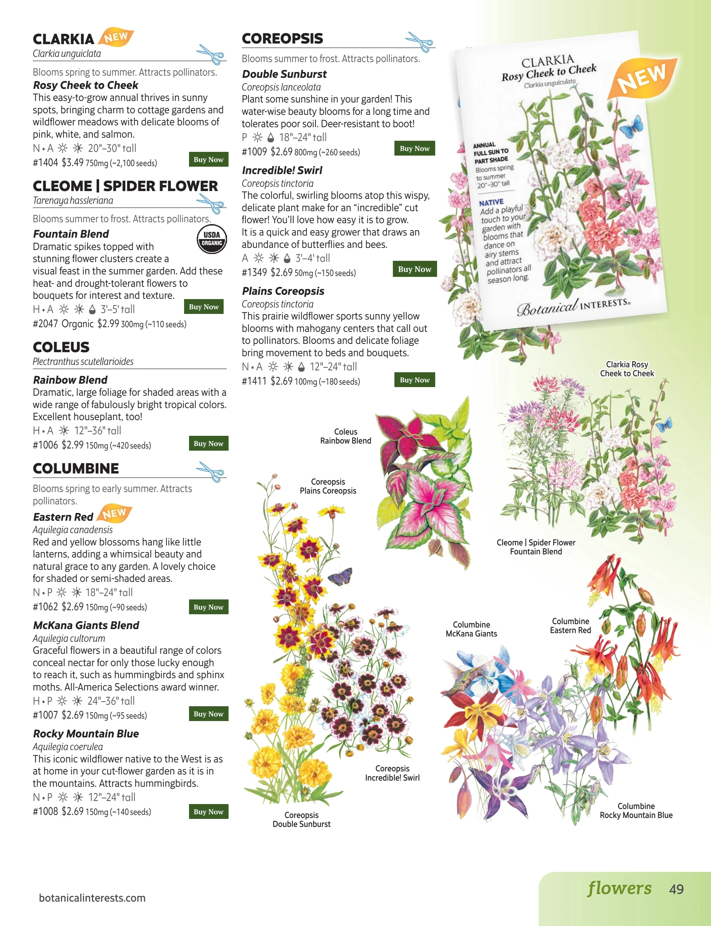 Botanical Interests flyer page 49