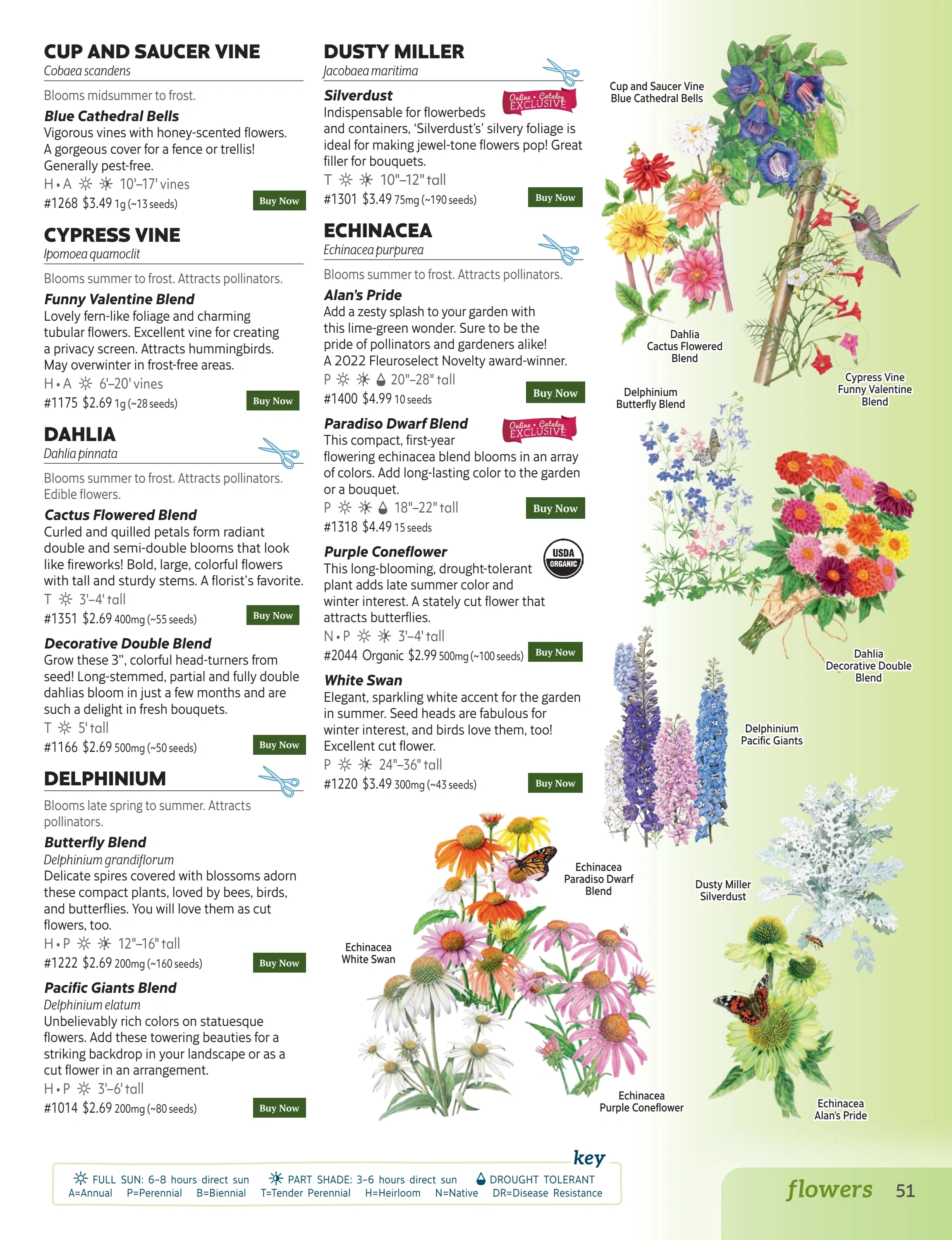 Botanical Interests flyer page 51