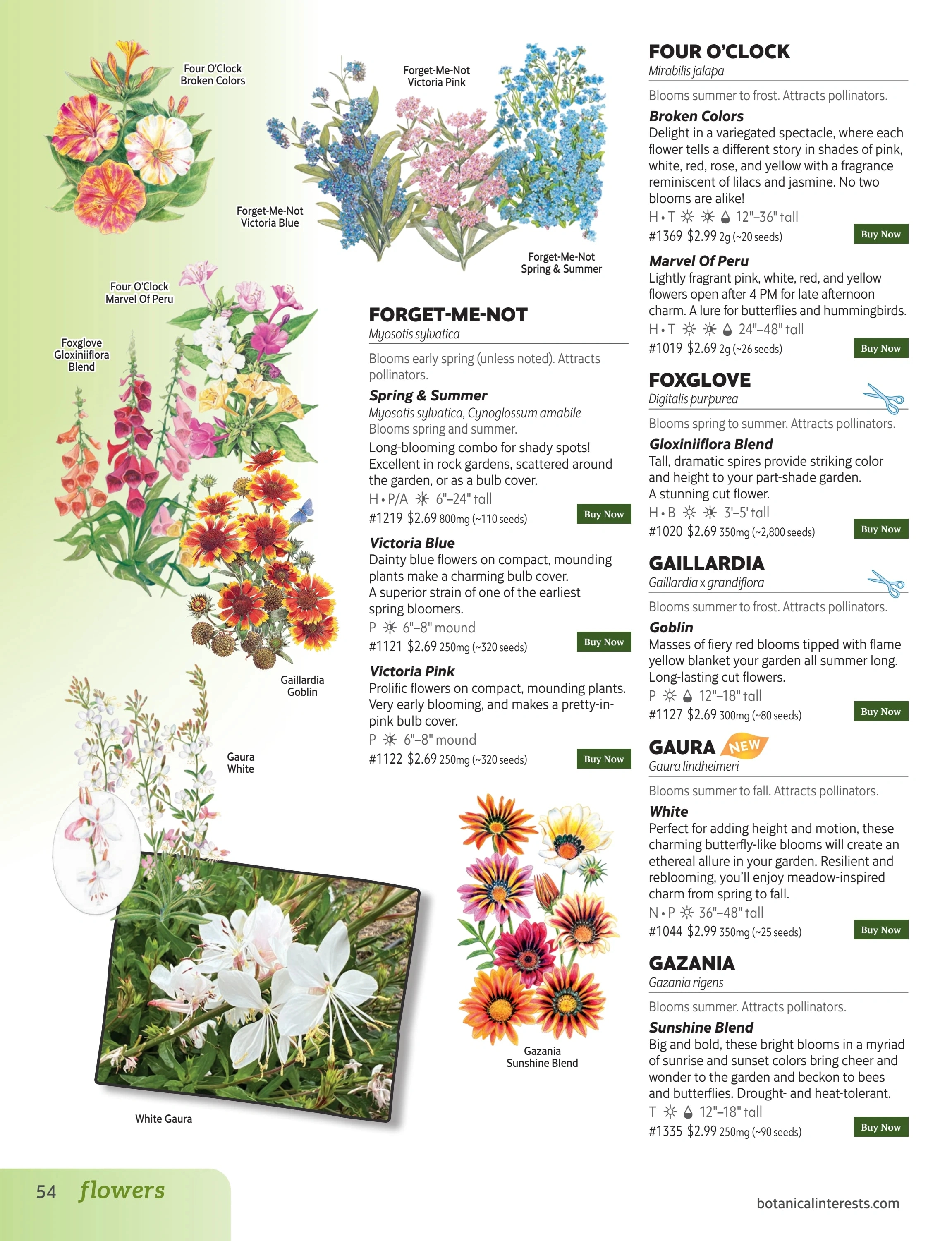 Botanical Interests flyer page 54