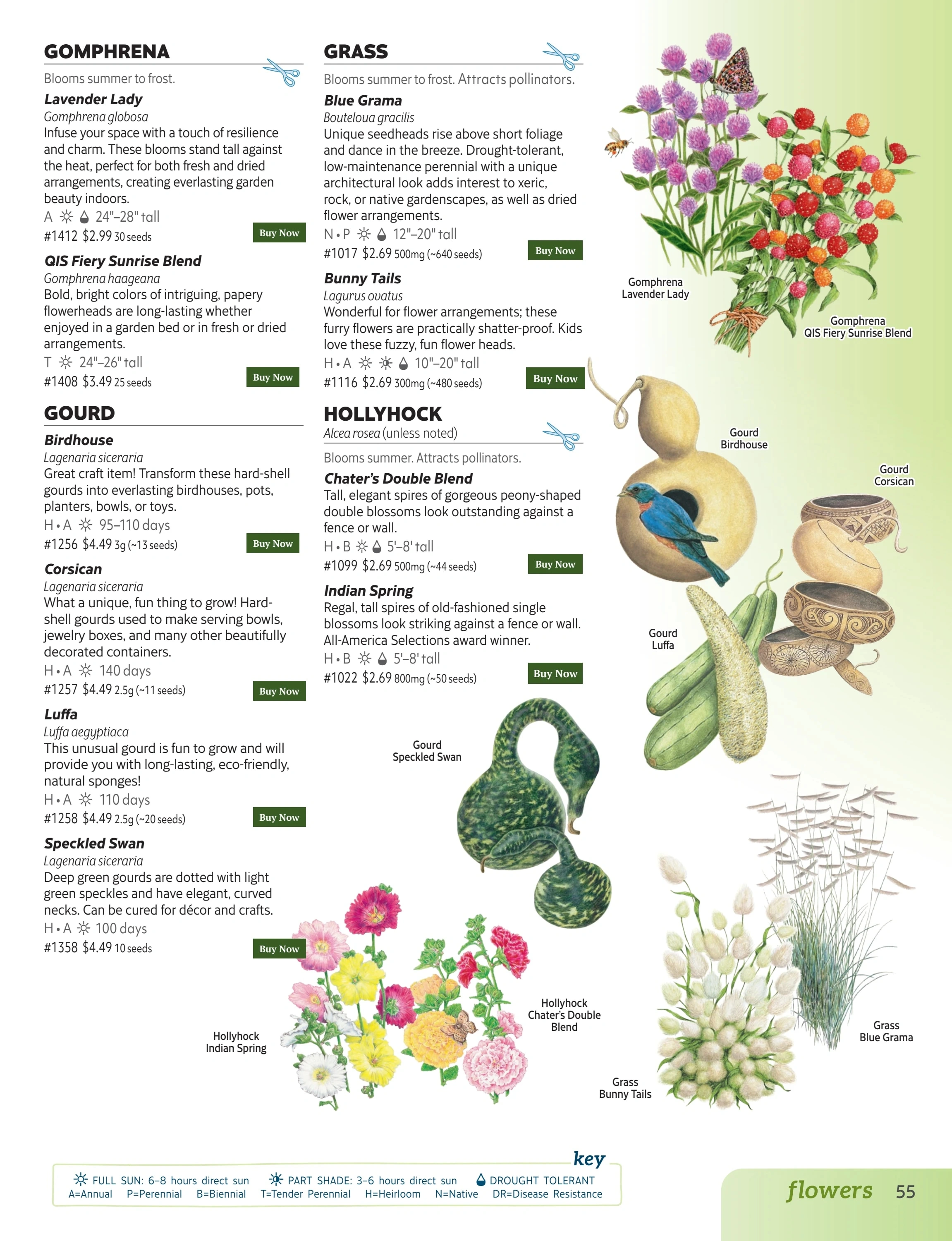 Botanical Interests flyer page 55