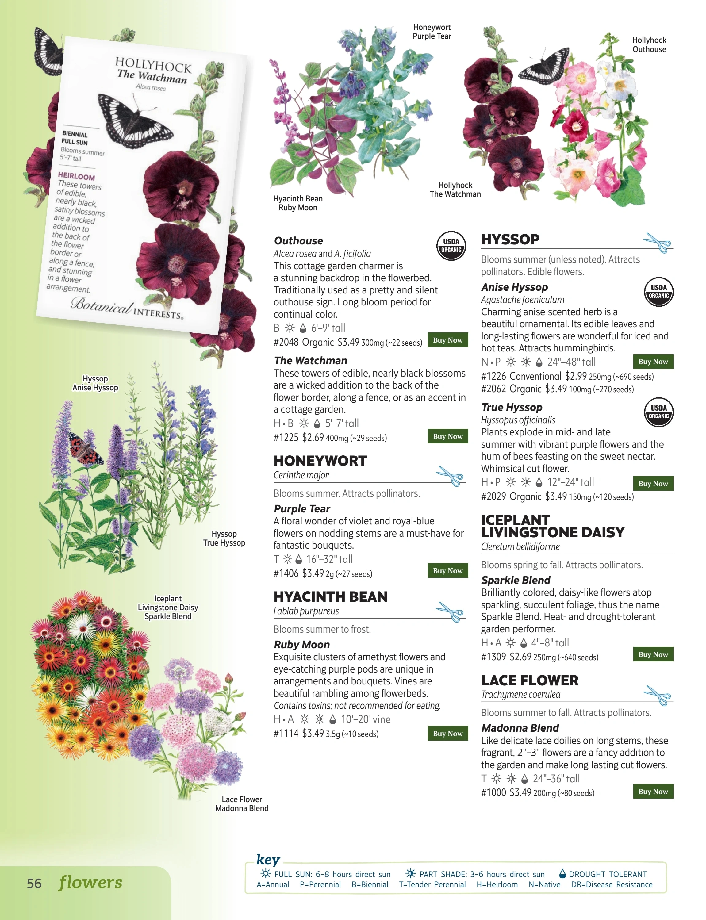 Botanical Interests flyer page 56