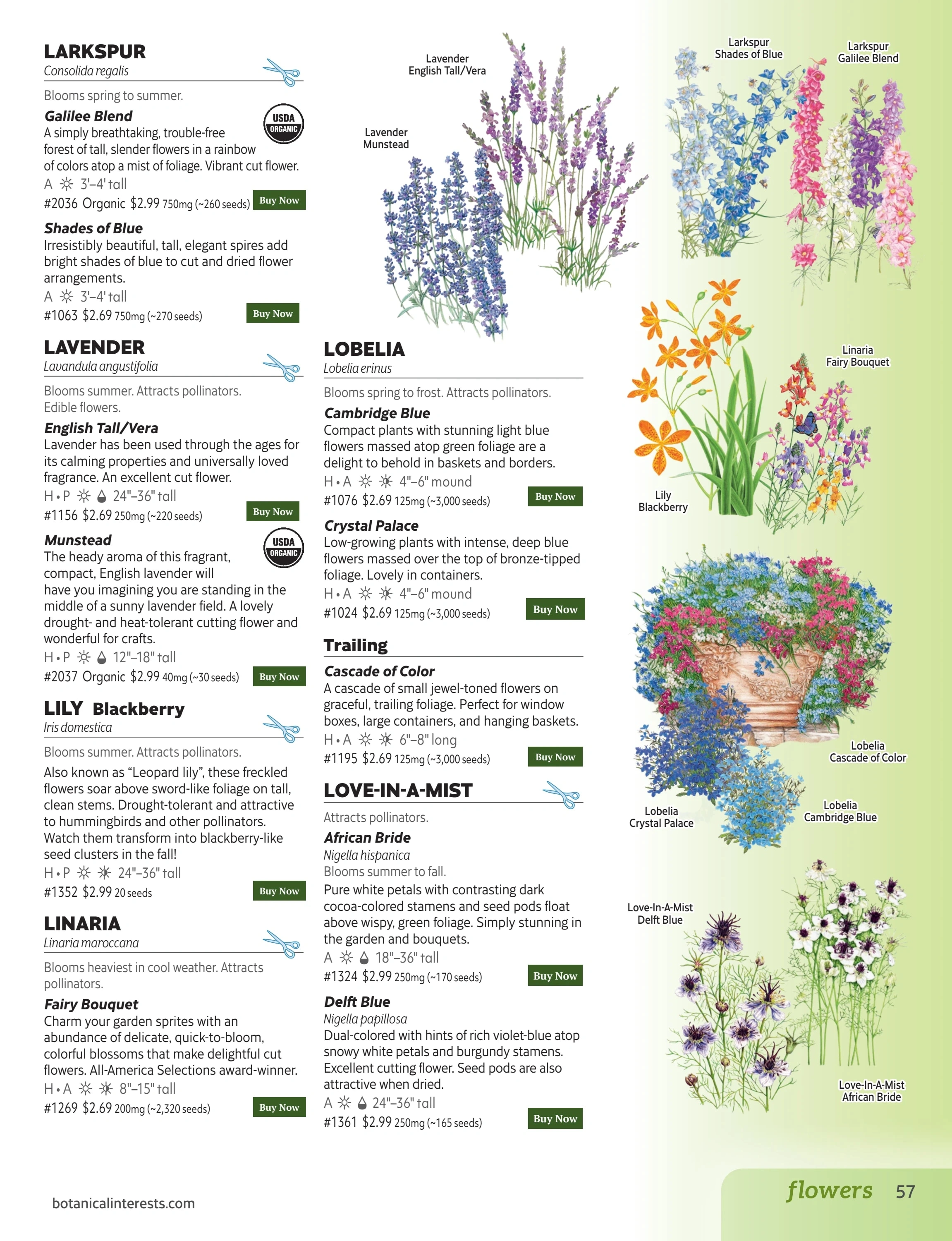 Botanical Interests flyer page 57