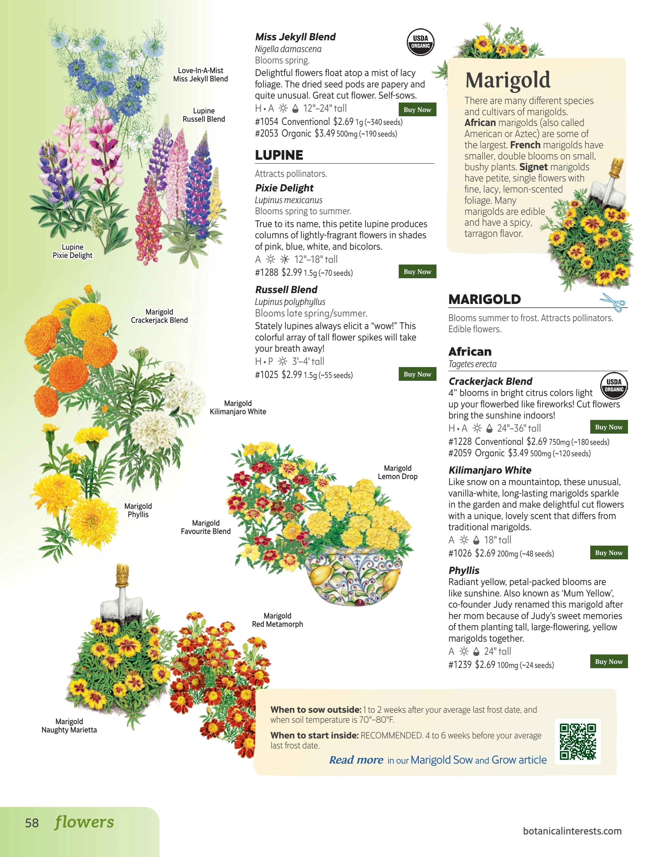 Botanical Interests flyer page 58