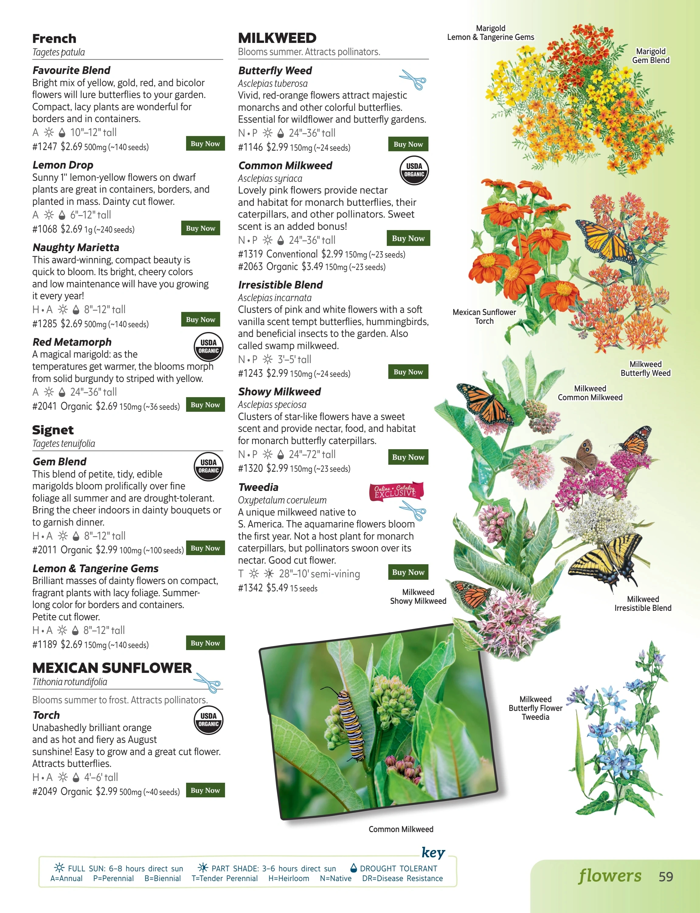 Botanical Interests flyer page 59