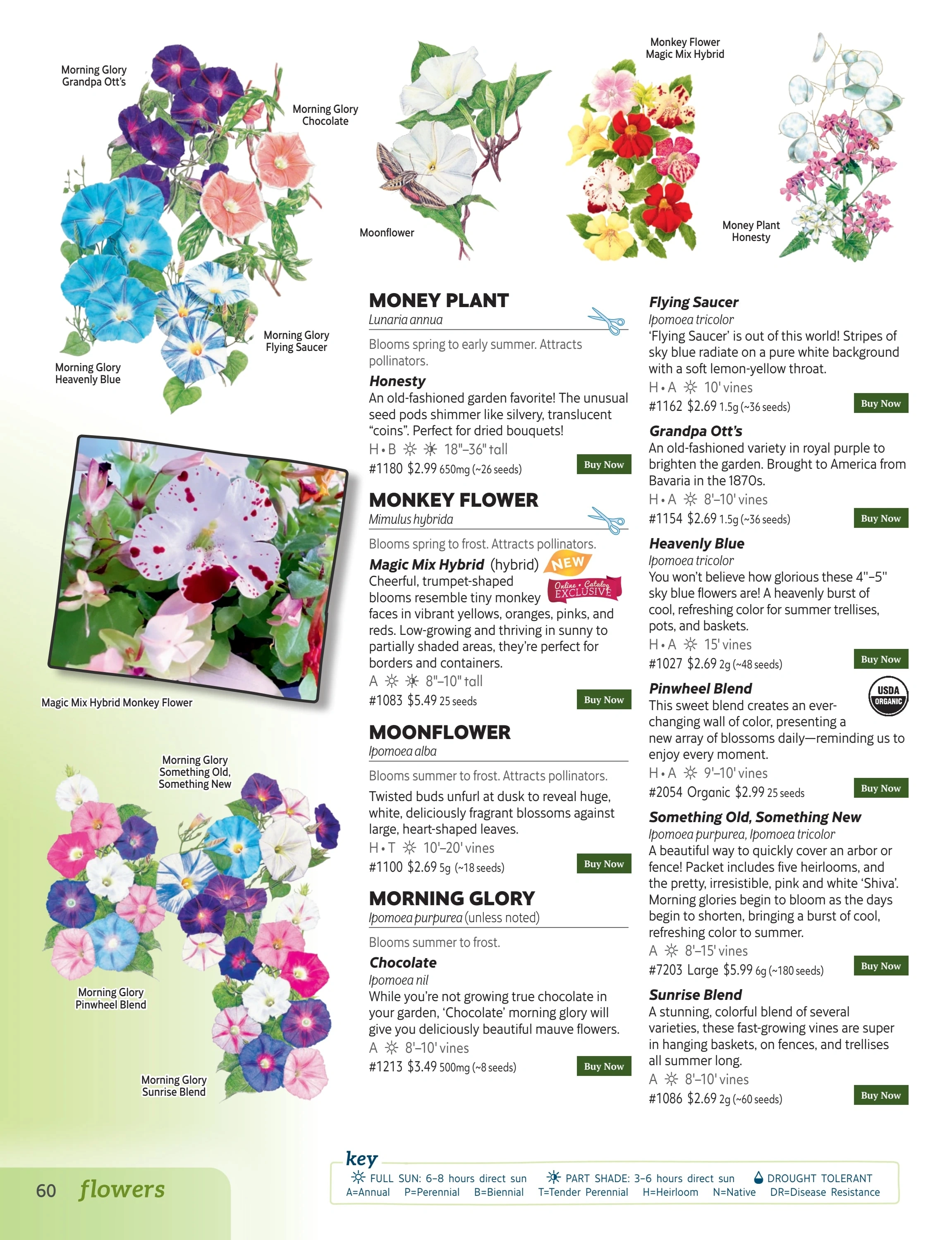 Botanical Interests flyer page 60