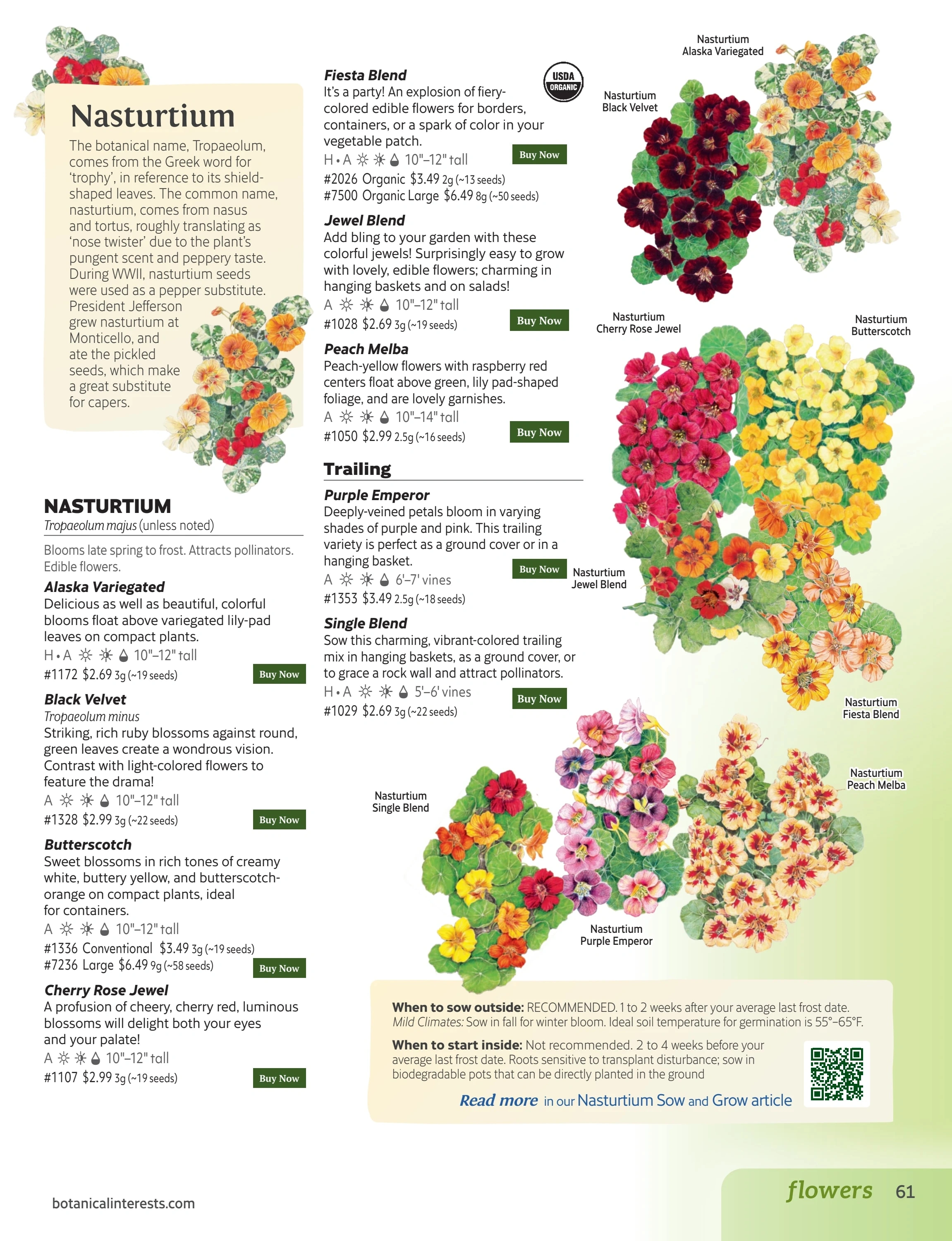 Botanical Interests flyer page 61