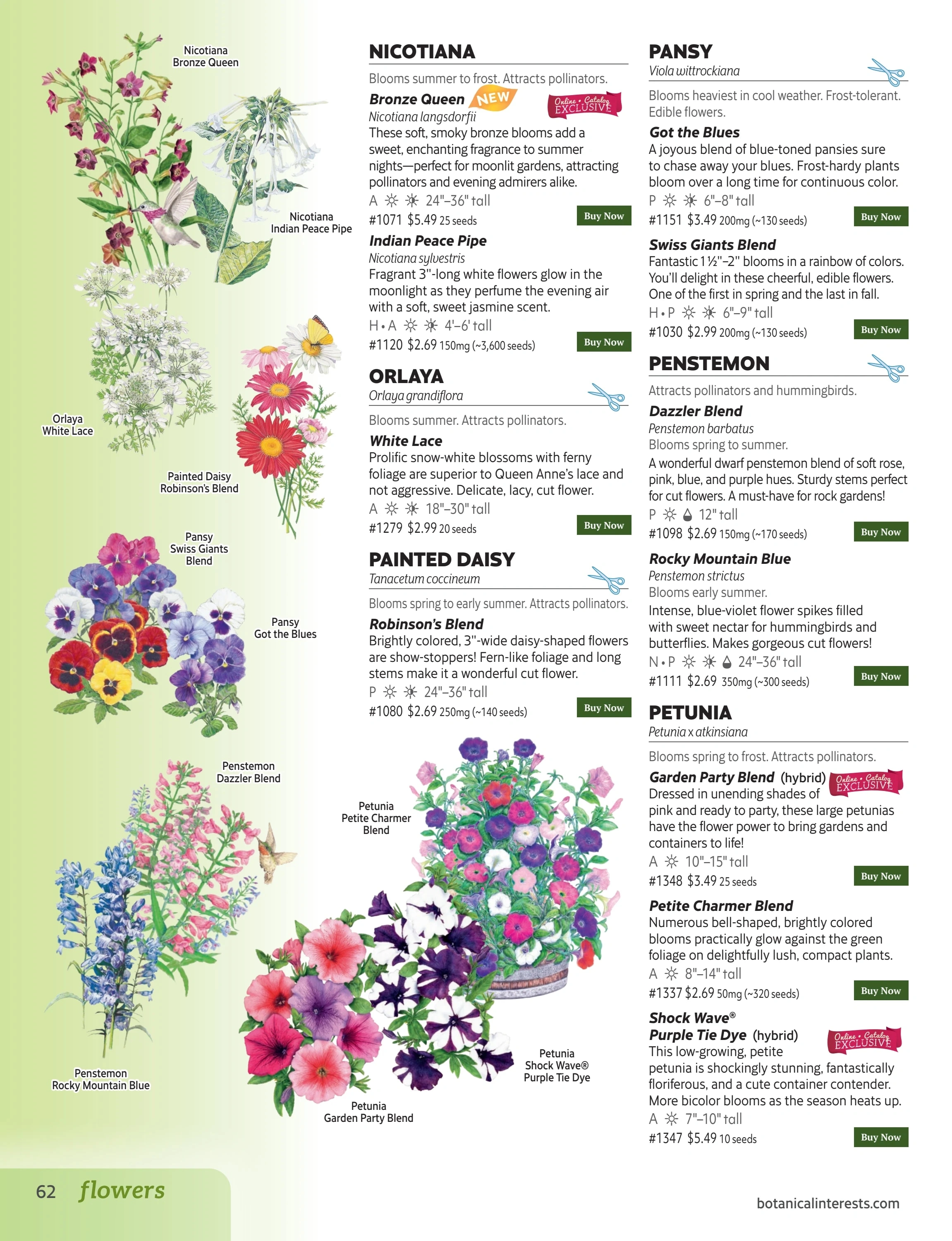 Botanical Interests flyer page 62
