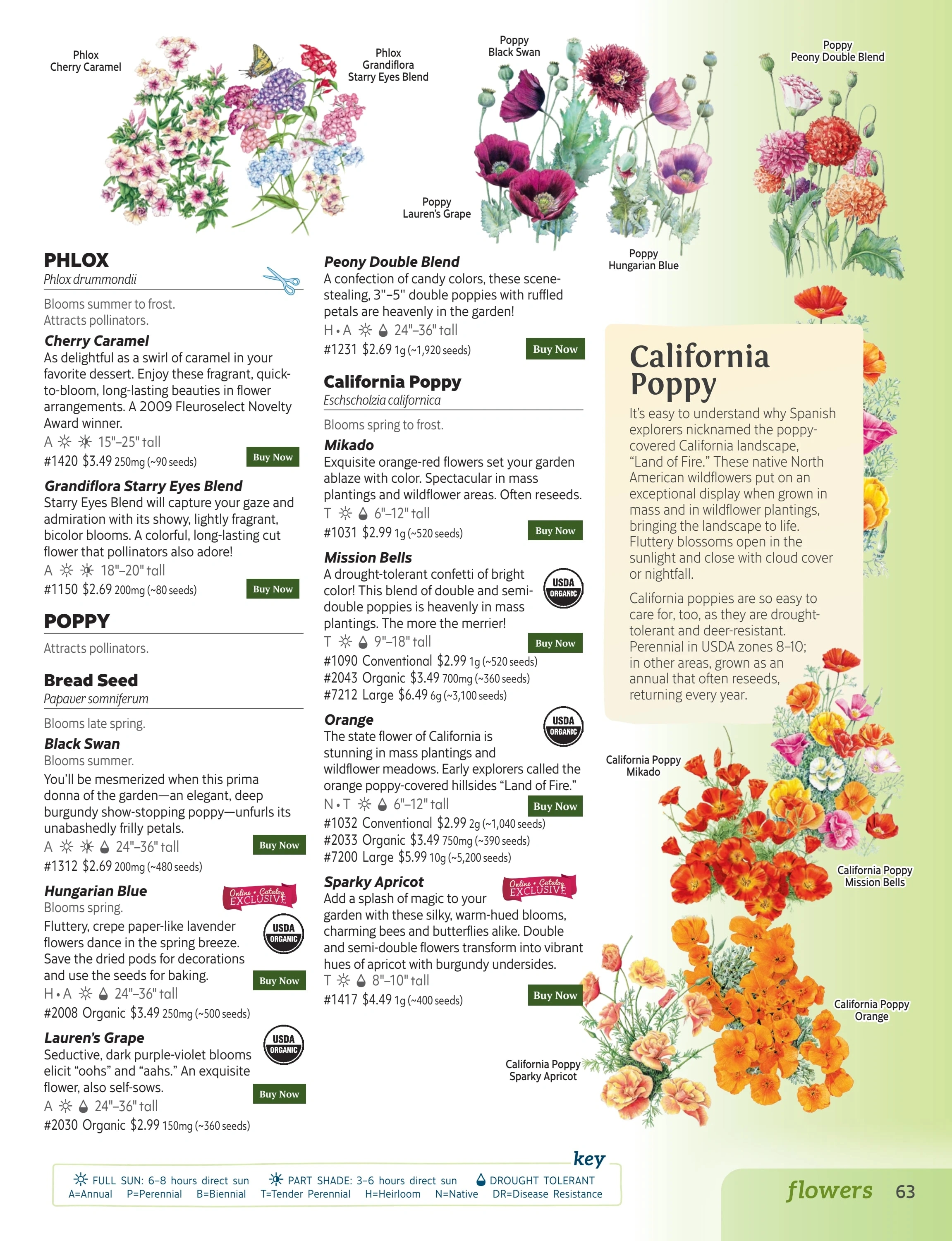 Botanical Interests flyer page 63