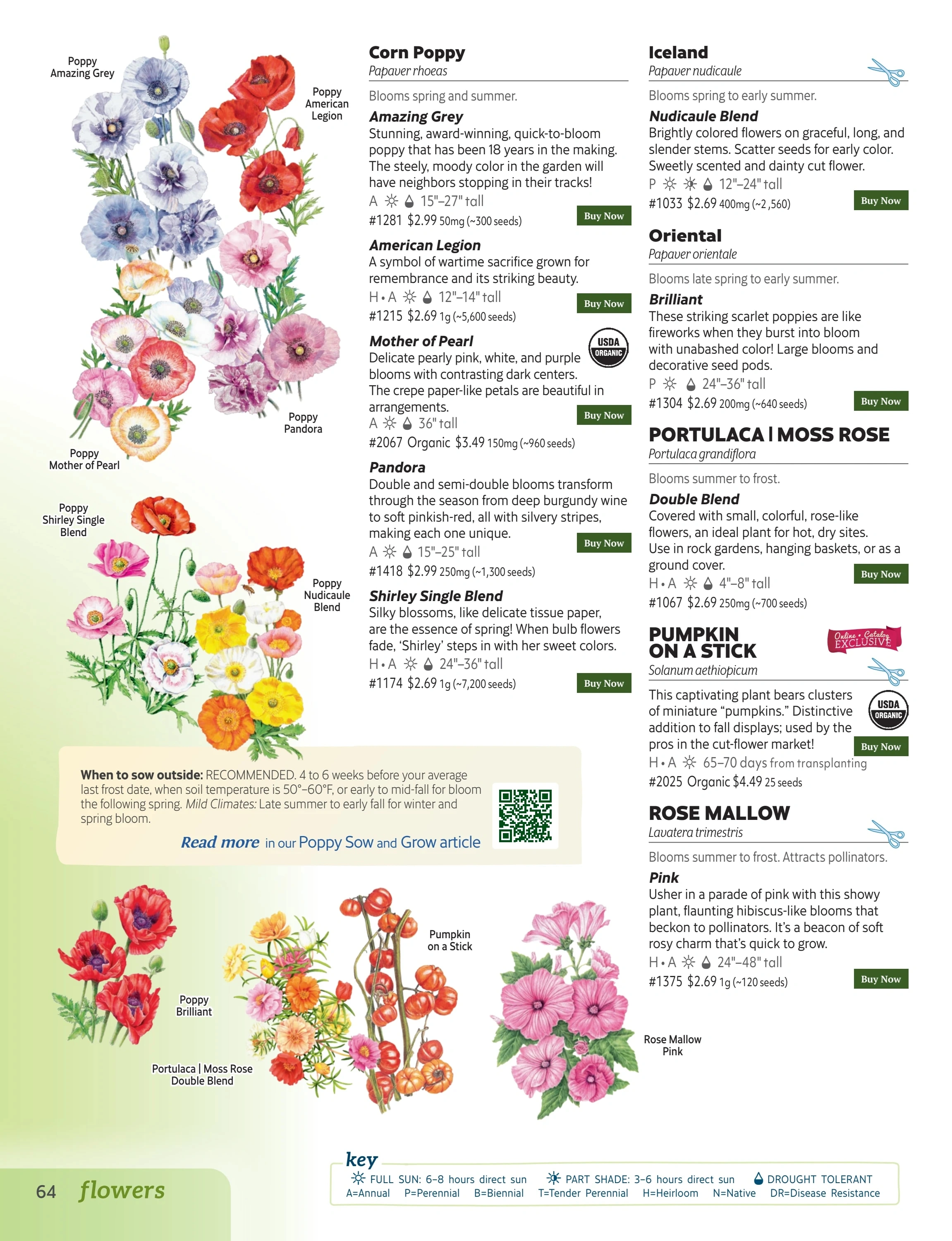 Botanical Interests flyer page 64