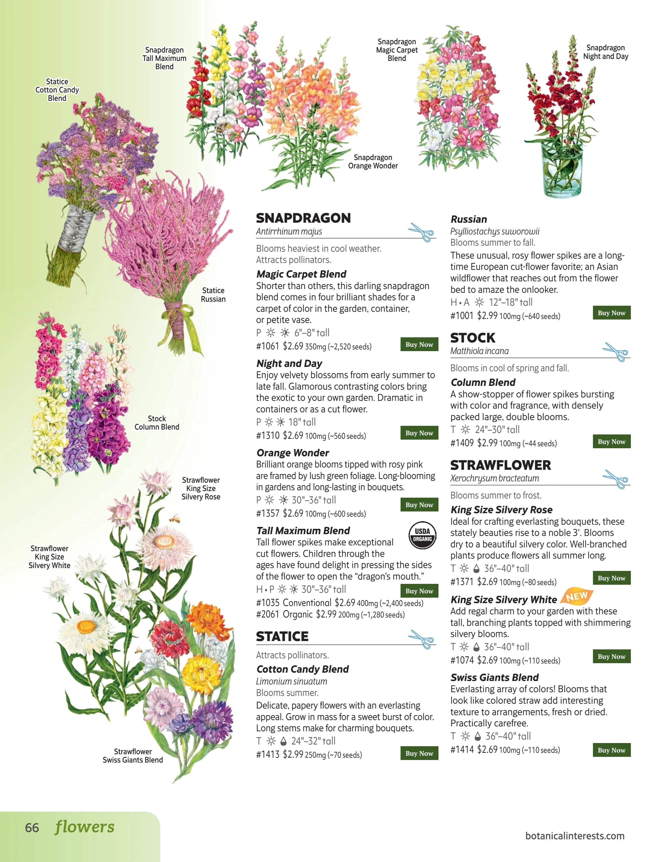 Botanical Interests flyer page 66