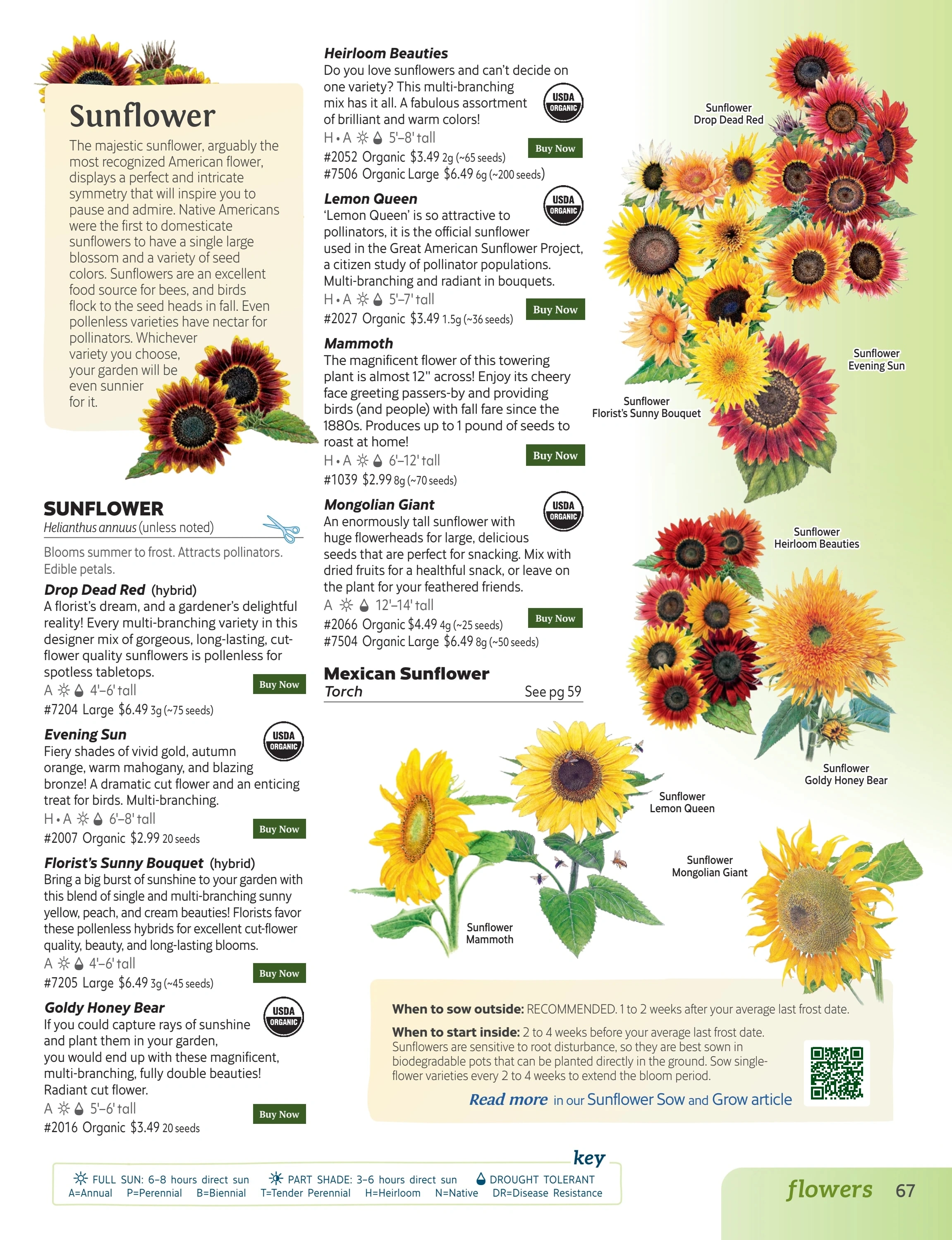 Botanical Interests flyer page 67